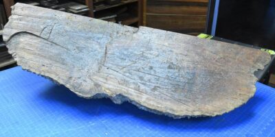Black Box Burl 2983.BURL.089