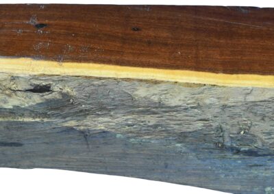 Ironwood Wattle Burl 2983.BURL.094