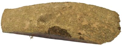 Black Box Burl 2983.BURL.128