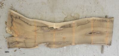 Koa Board BC1182