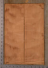 Mahogany (Genuine) UkeBack2pcATC GMAH5.142