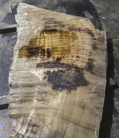 Eucalyptus Board BA6815