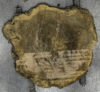 Walnut (Claro) Board BC3631