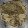 Walnut (Claro) Board BC3635