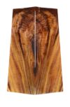 Koa GuitarSolidBodyTopATC L6872.G.037