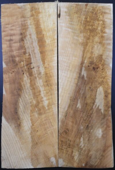 Maple (Big Leaf) GuitarSolidBodyTopATC L20174.G.051
