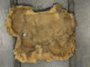Walnut (Claro) Board BC3491 - Image 2