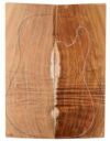 Koa GuitarSolidBodyTopATC KOASB.G.209