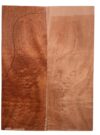Sapele GuitarBack2pcATC M3147.G.048