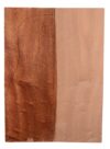 Sapele GuitarBack2pcATC M3147.G.069