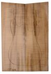 Myrtle (American) GuitarSolidBodyTopATC L18938.G.321