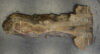 Walnut (Claro) Board BC3434