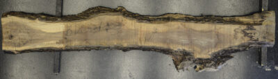 Walnut (Black) Board BD02143