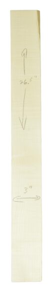 Sycamore (English) GuitarNeckATC L26230.G.047