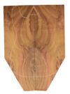 Koa GuitarSolidBodyTopATC L026347.G.026 - Image 2