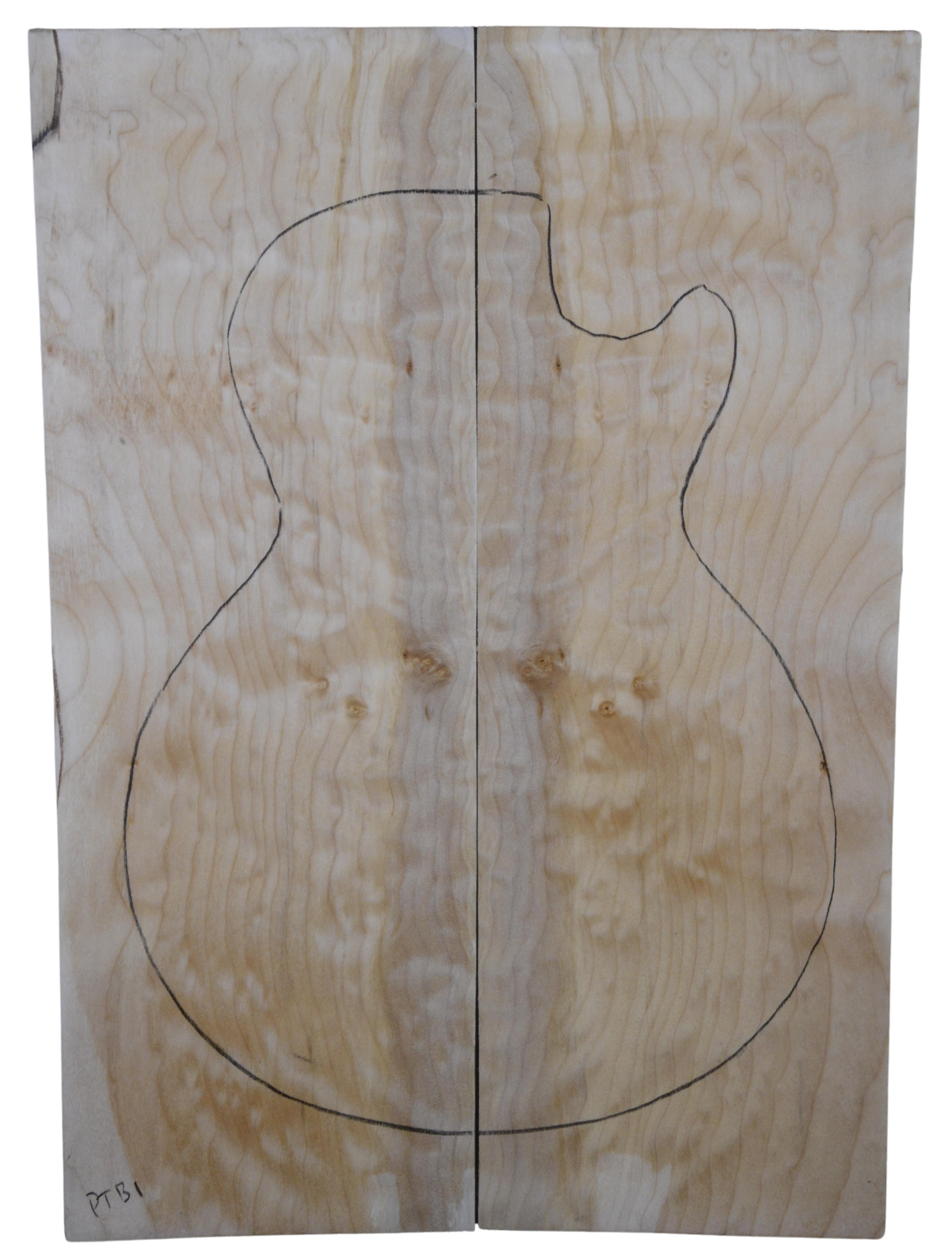 Maple (Big Leaf) GuitarSolidBodyTopATC L20174.G.054