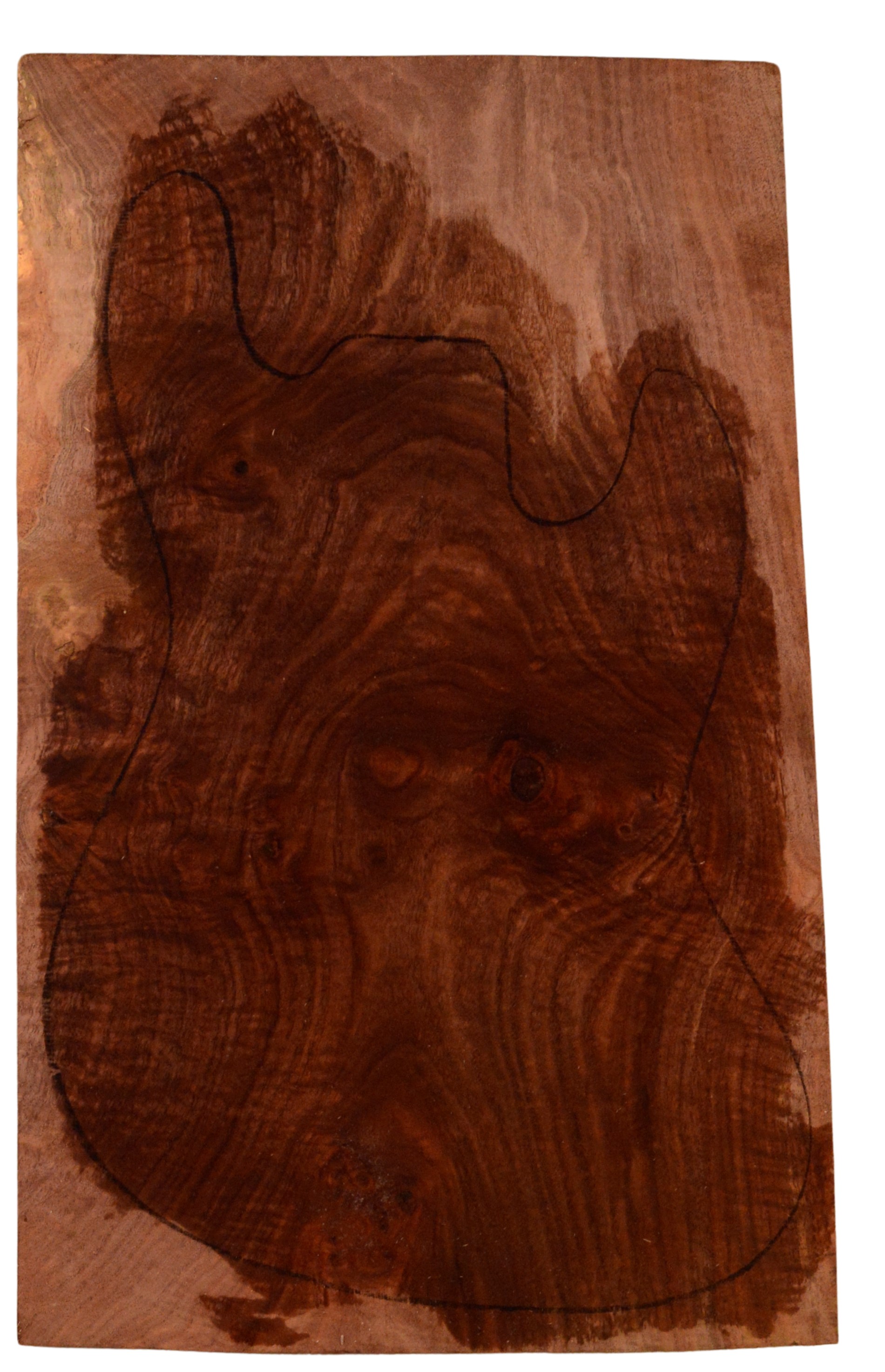 Walnut (Claro) GuitarSolidBodyTopATC 15492.G.004