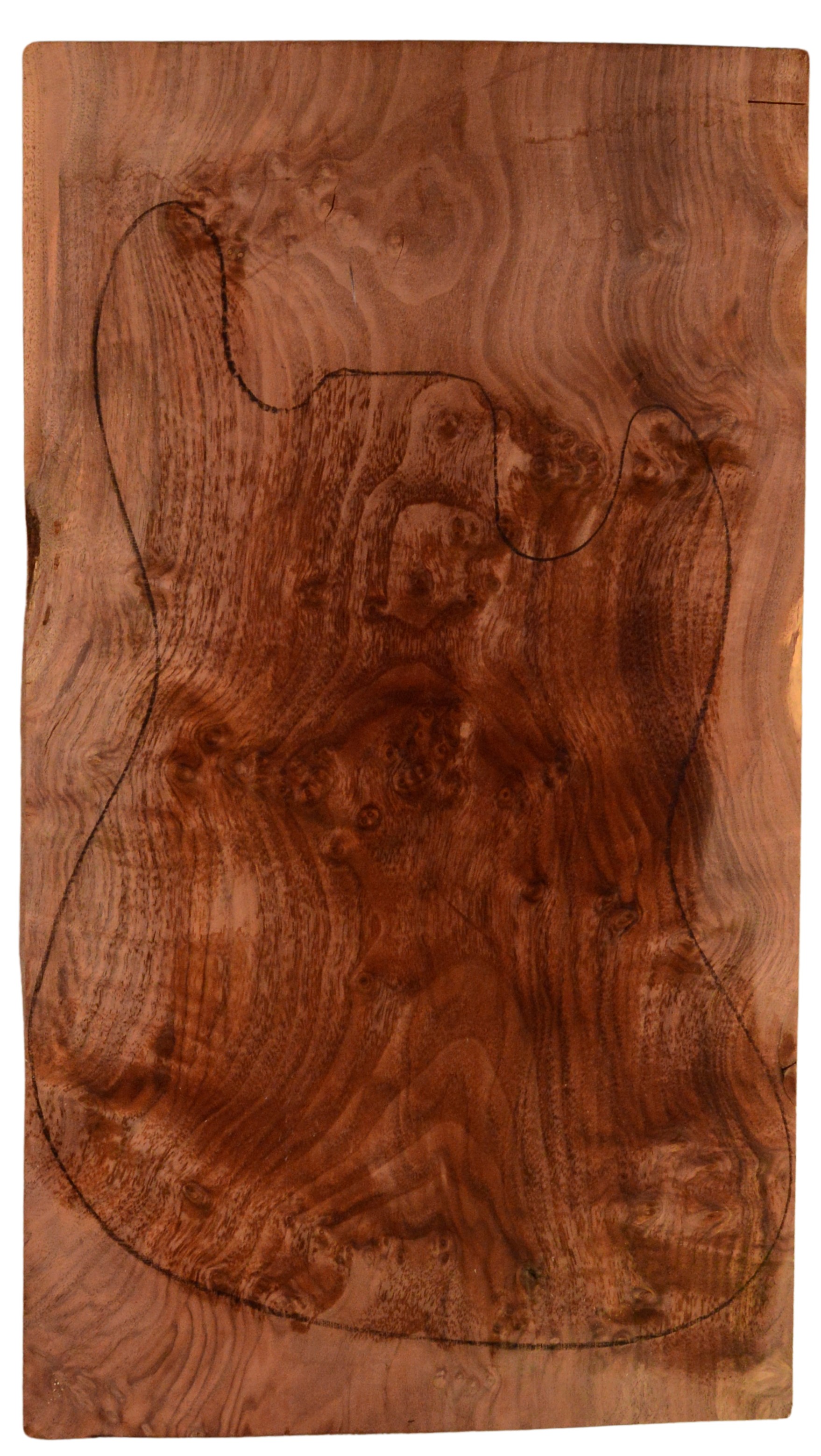 Walnut (Claro) GuitarSolidBodyTopATC 15492.G.005