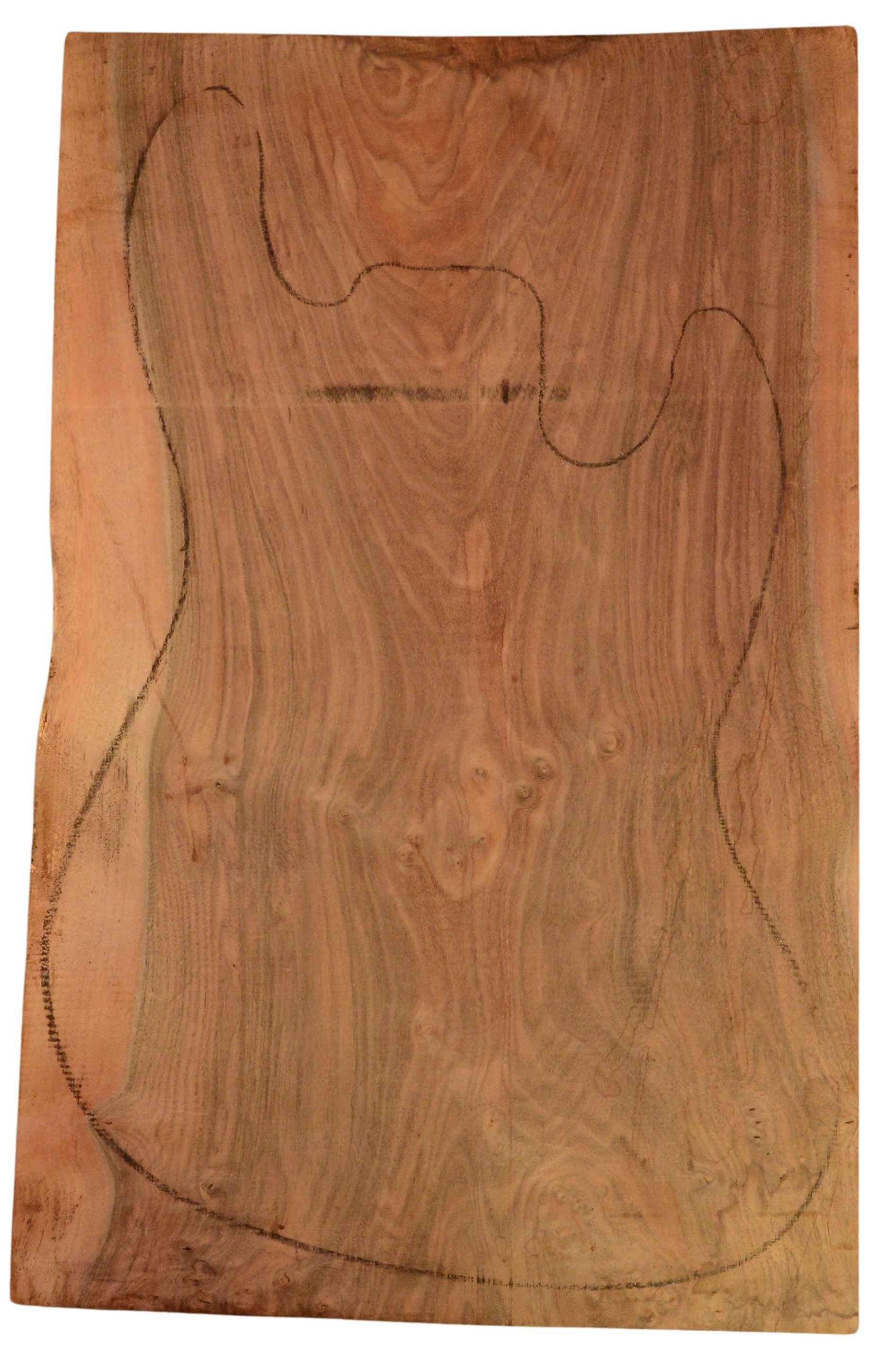 Walnut (Claro) GuitarSolidBodyTopATC 15492.G.007