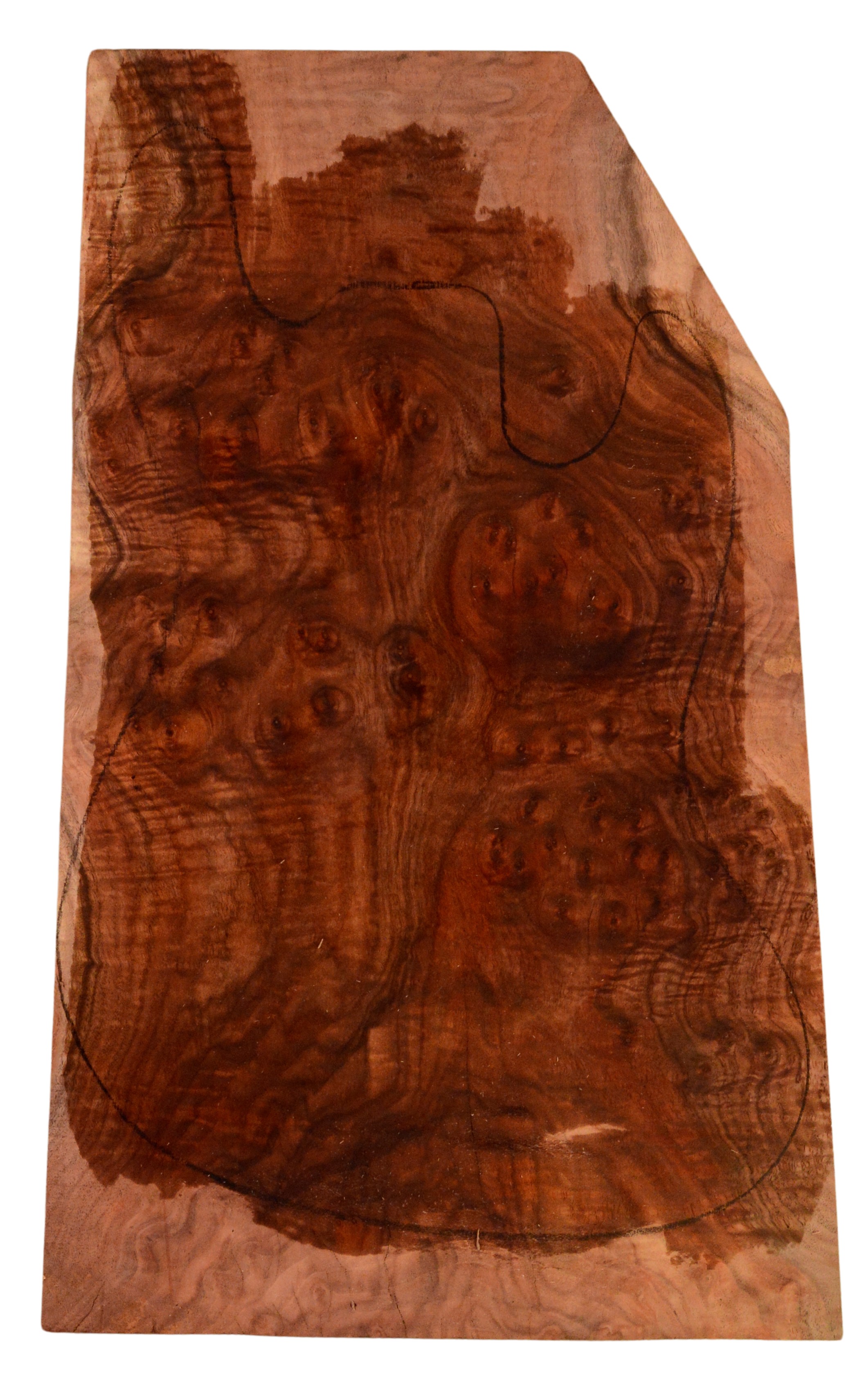 Walnut (Claro) GuitarSolidBodyTopATC 15492.G.013