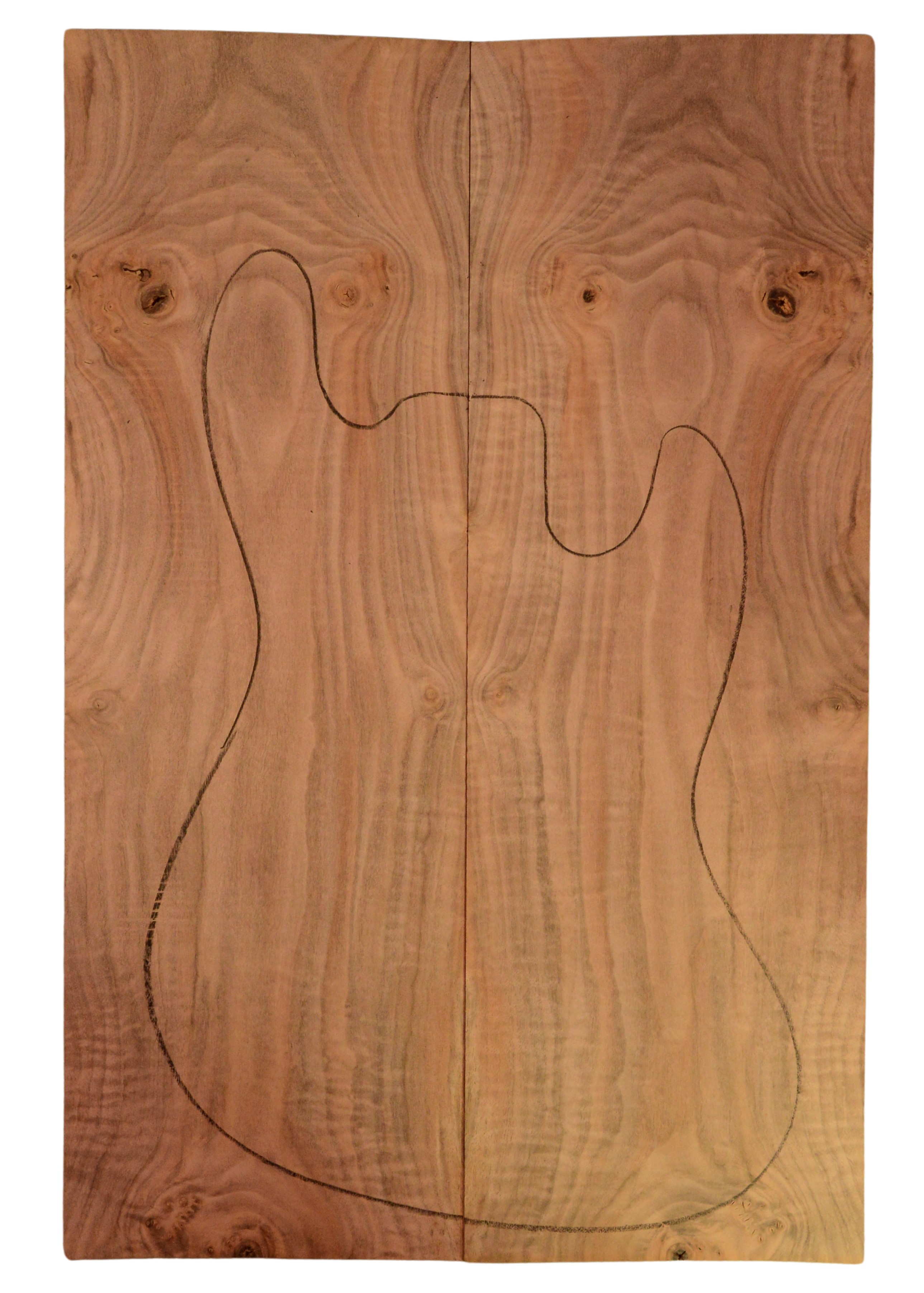 Walnut (Claro) GuitarSolidBodyTopATC 15492.G.019