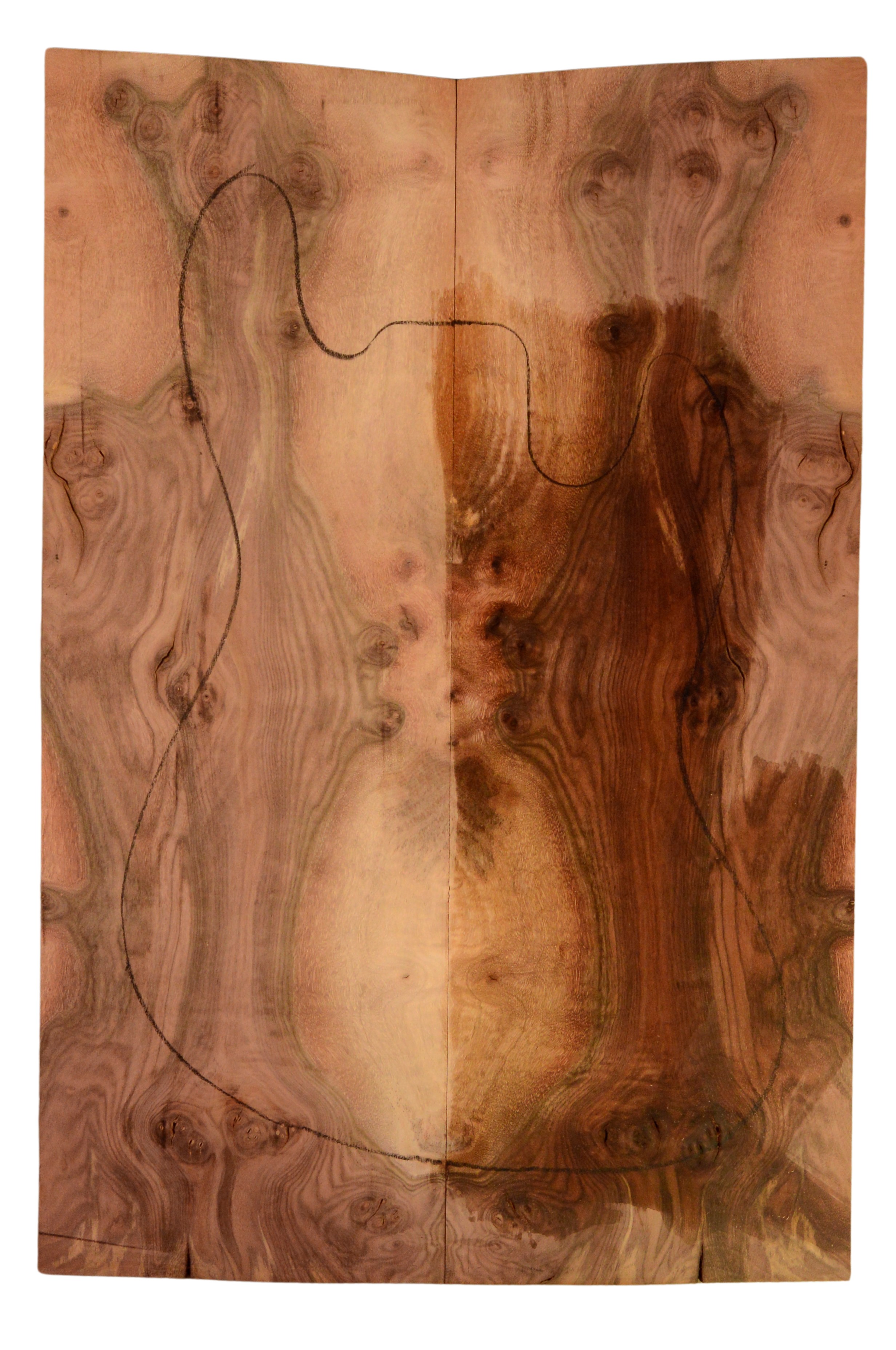 Walnut (Claro) GuitarSolidBodyTopATC 15492.G.029