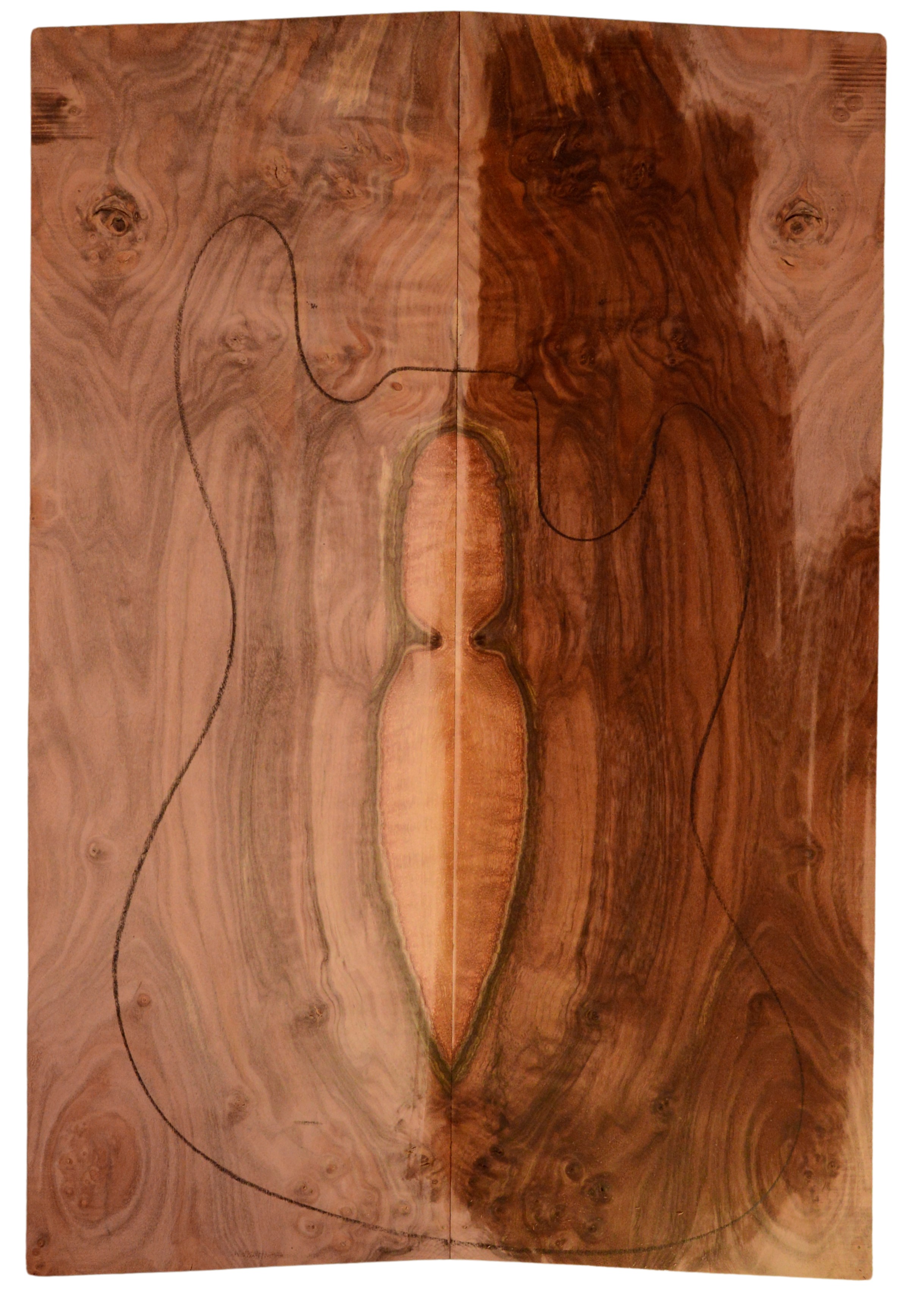 Walnut (Claro) GuitarSolidBodyTopATC 15492.G.031