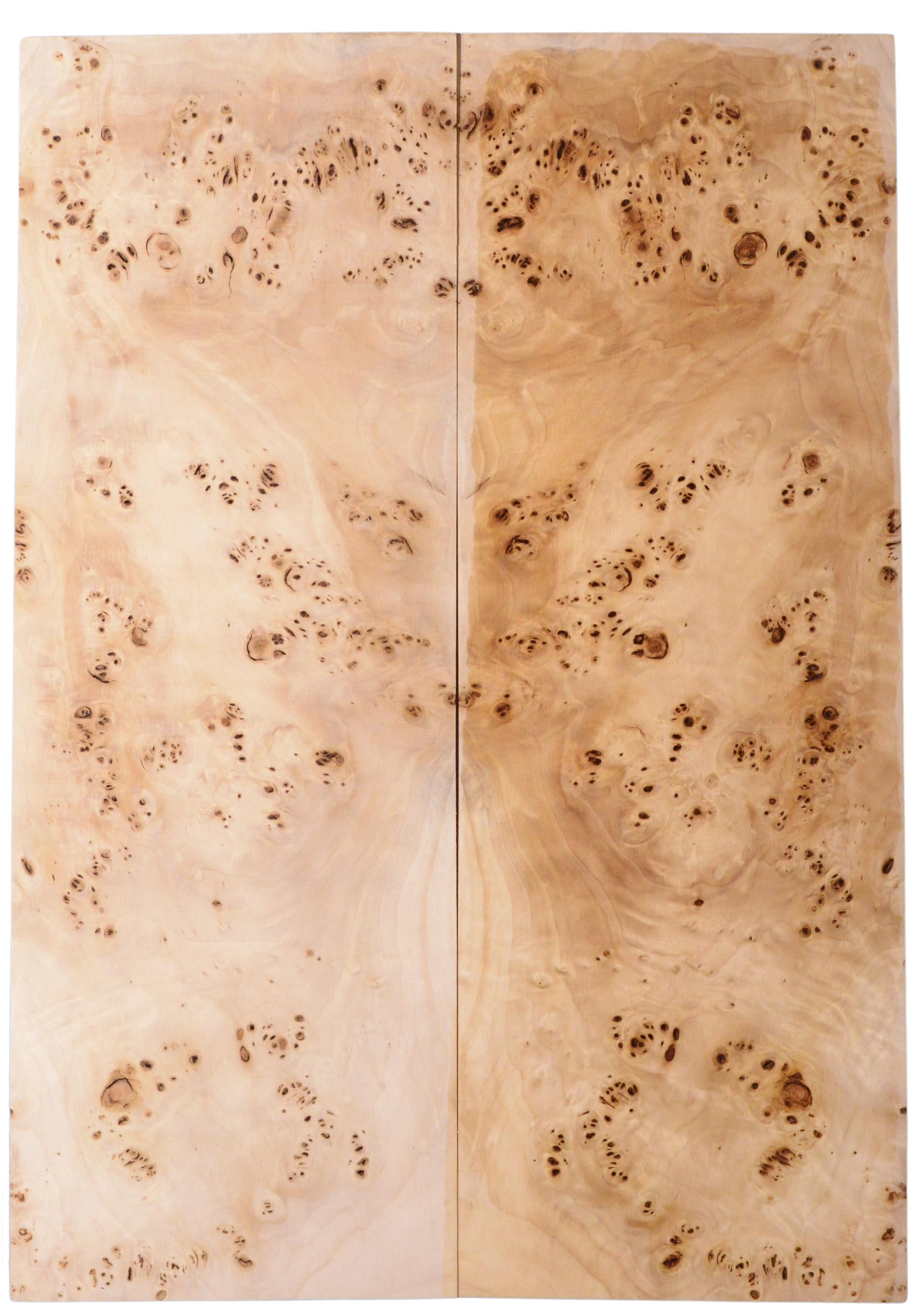 Poplar GuitarSolidBodyTopATC 20063.G.004