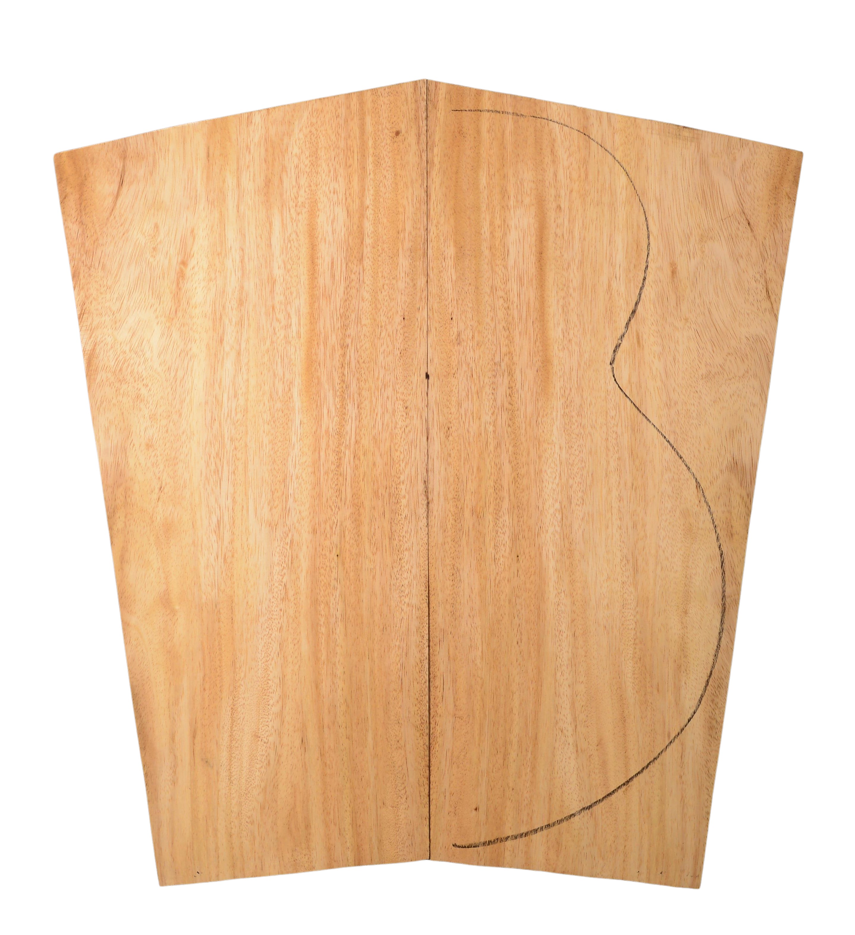 Primavera (Sinker) GuitarBack2pcATC 20185.G.012