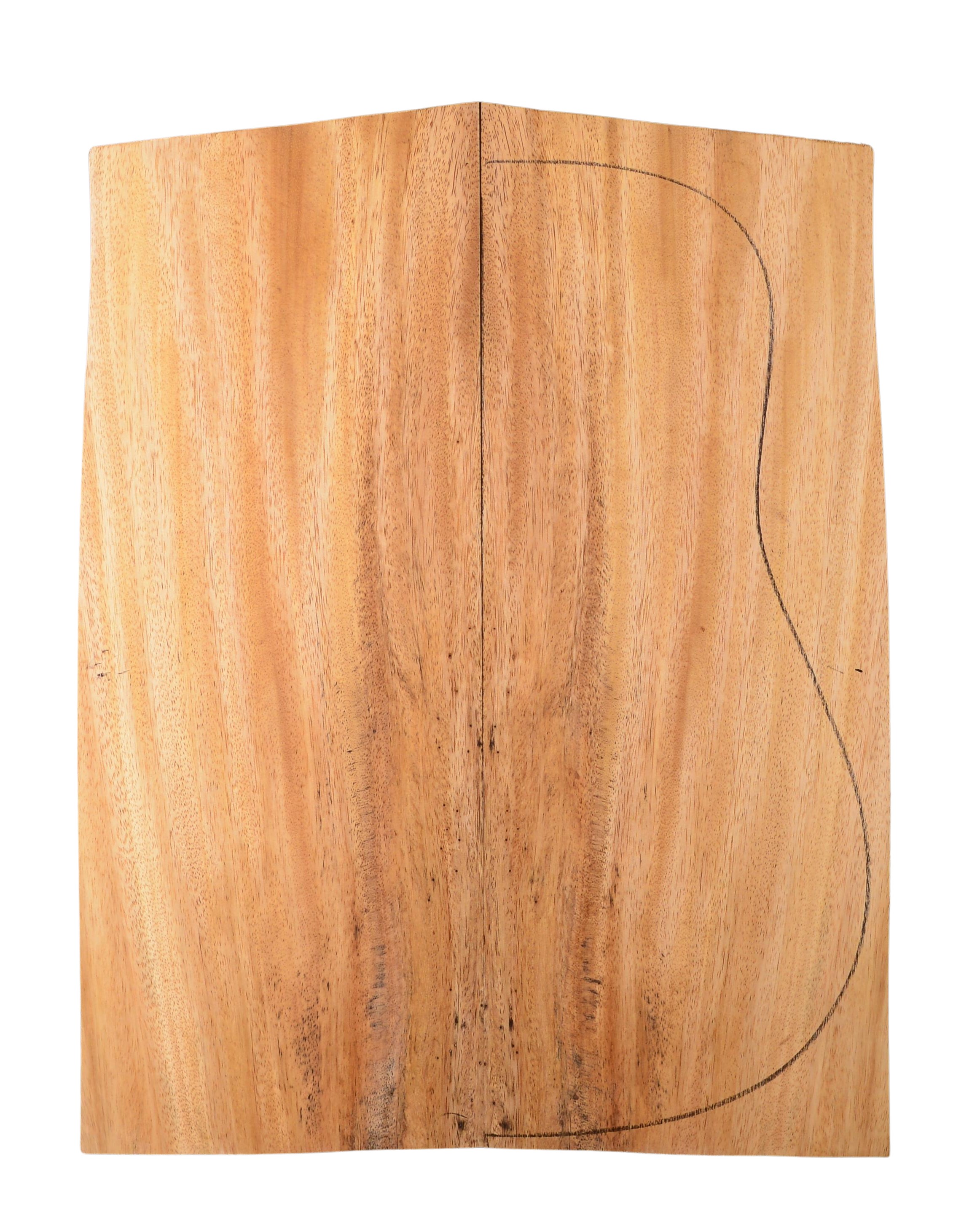 Primavera (Sinker) GuitarBack2pcATC 20185.G.013