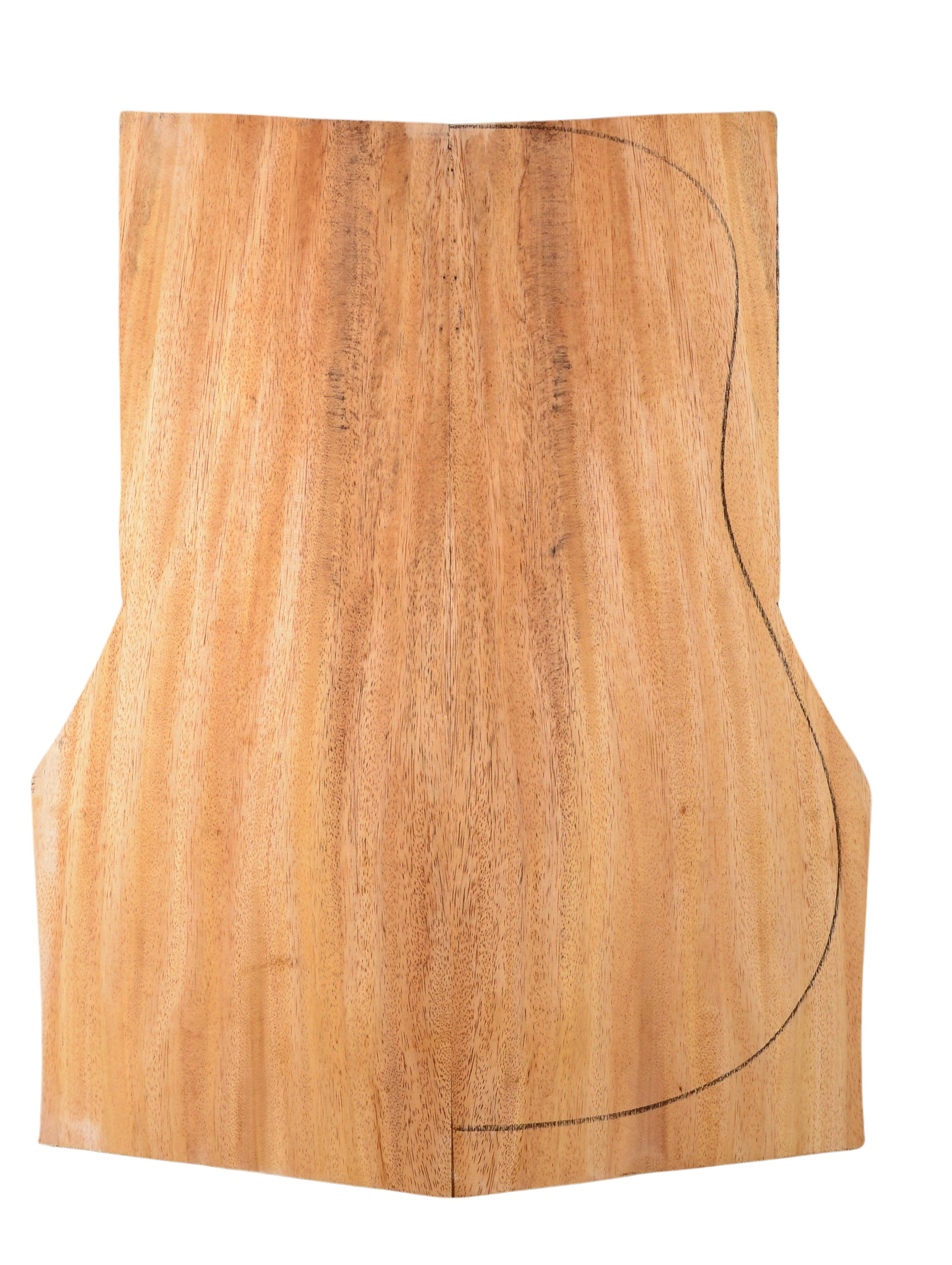 Primavera (Sinker) GuitarBack2pcATC 20185.G.014