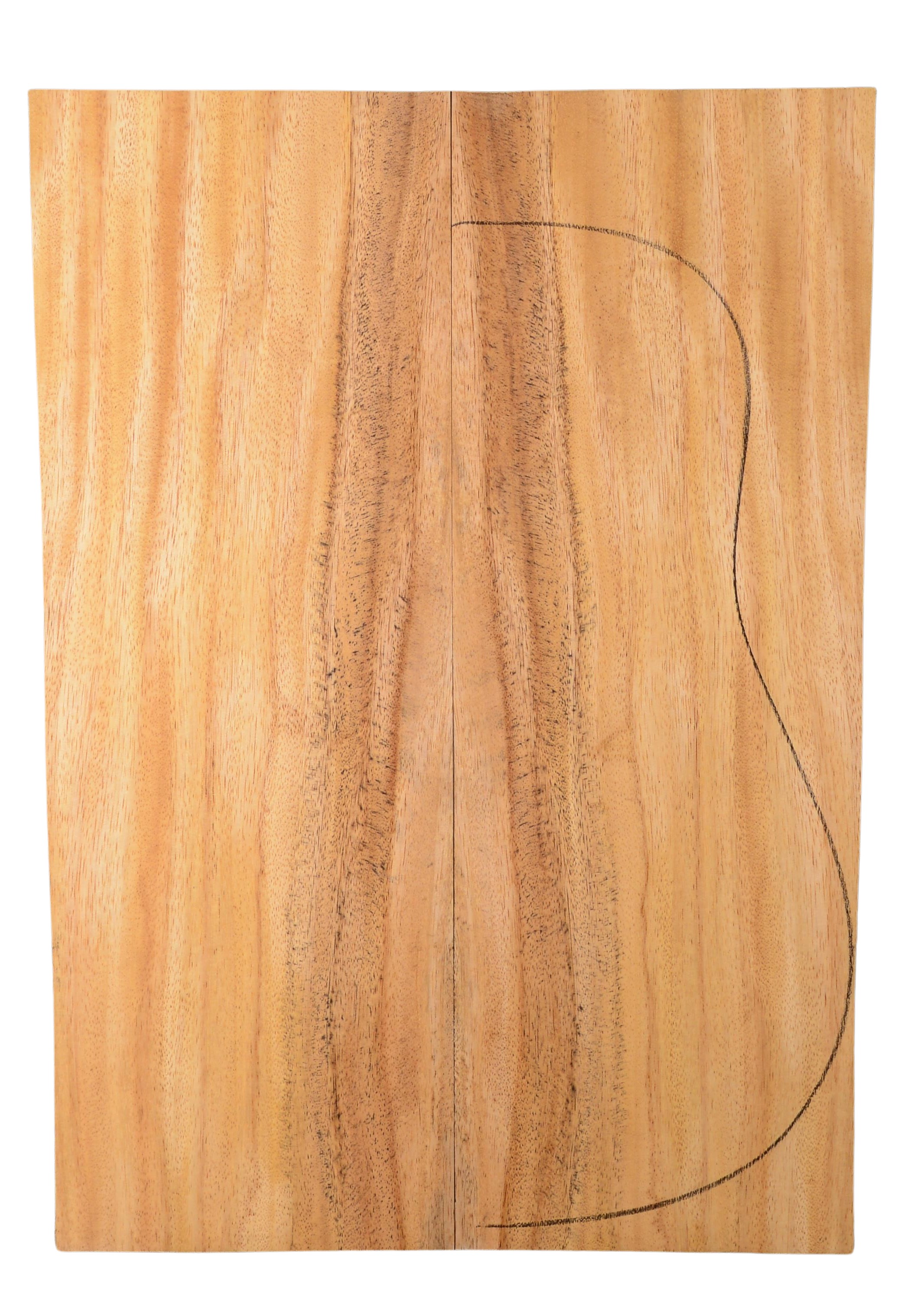 Primavera (Sinker) GuitarBack2pcATC 20185.G.015