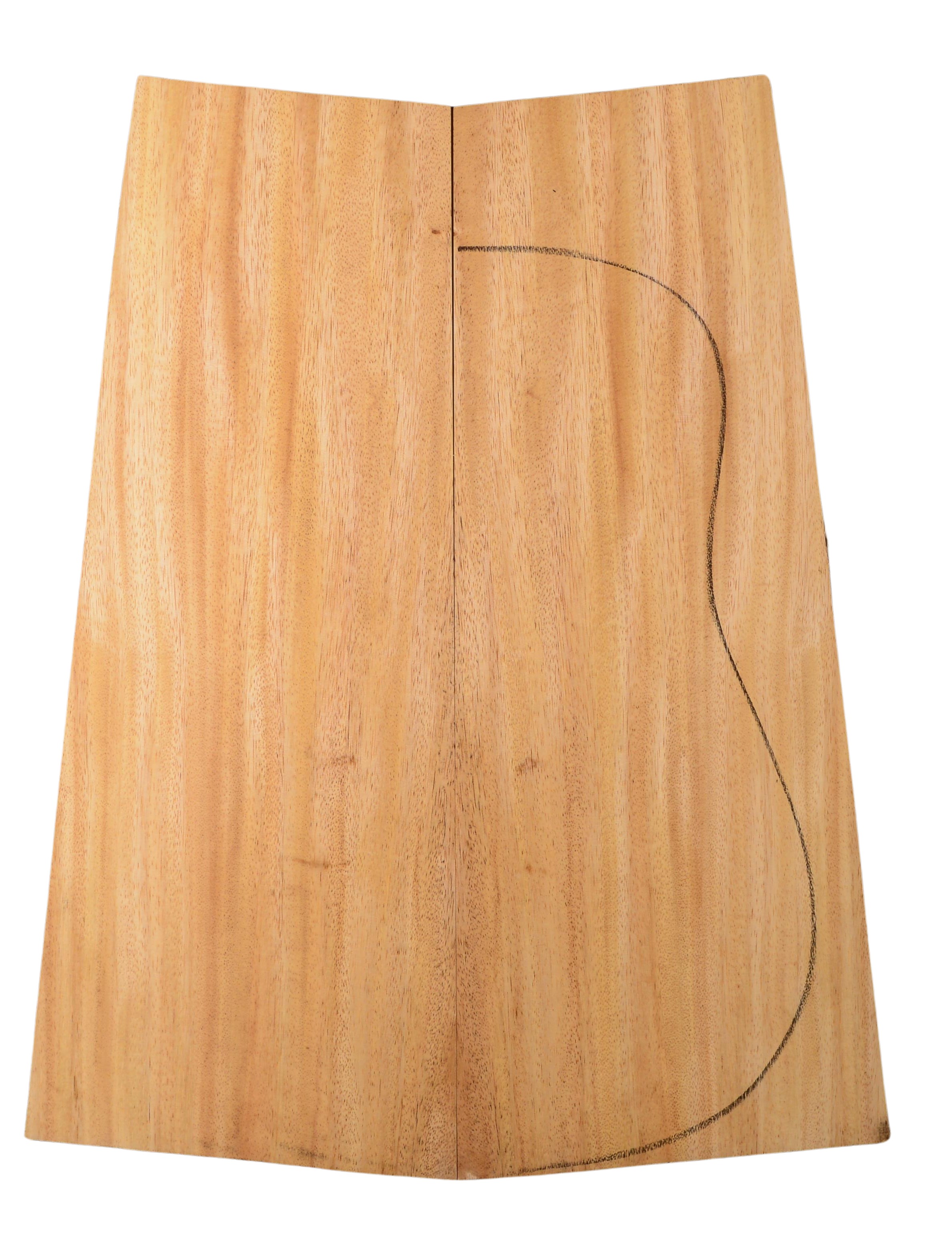 Primavera (Sinker) GuitarBack2pcATC 20185.G.016