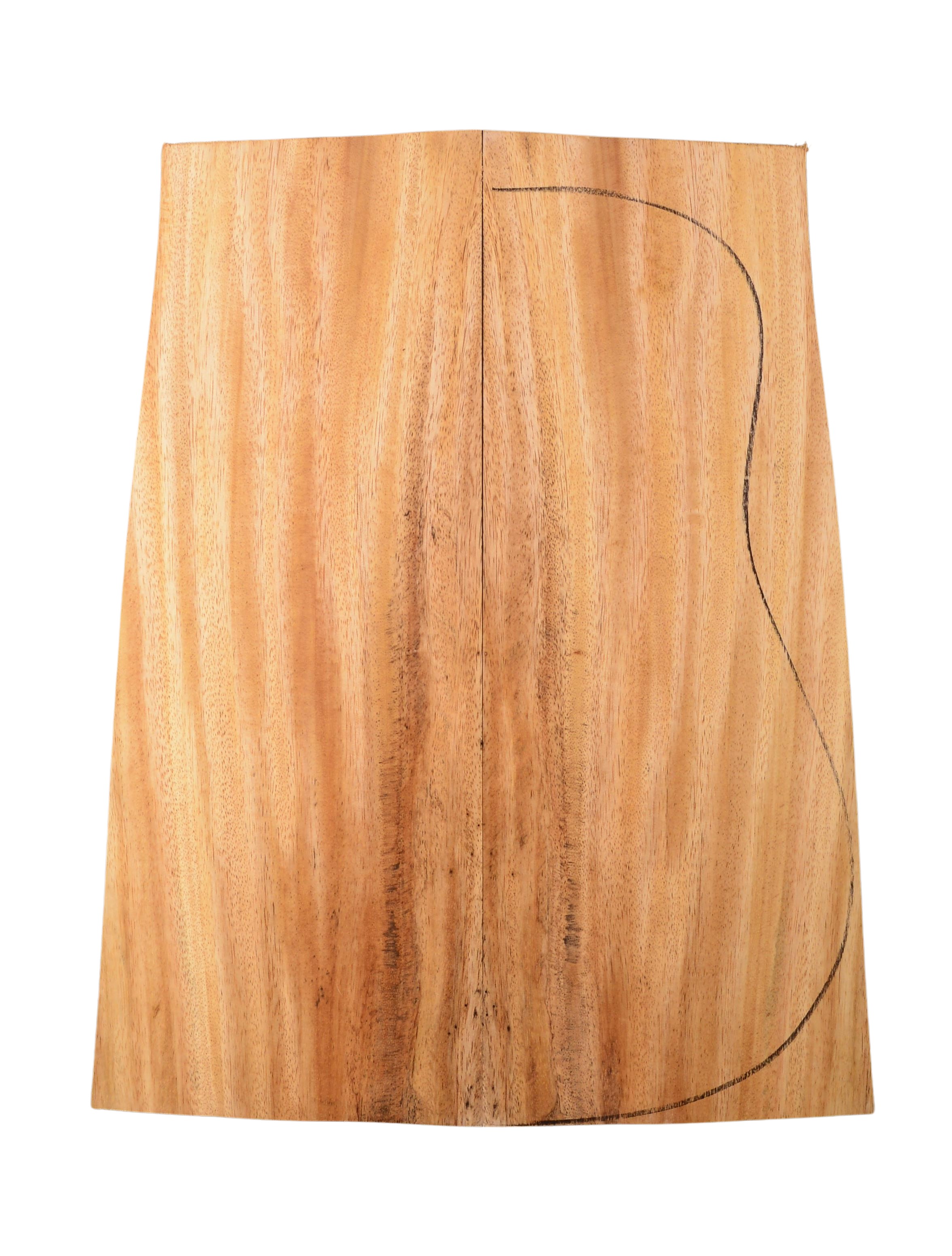 Primavera (Sinker) GuitarBack2pcATC 20185.G.017