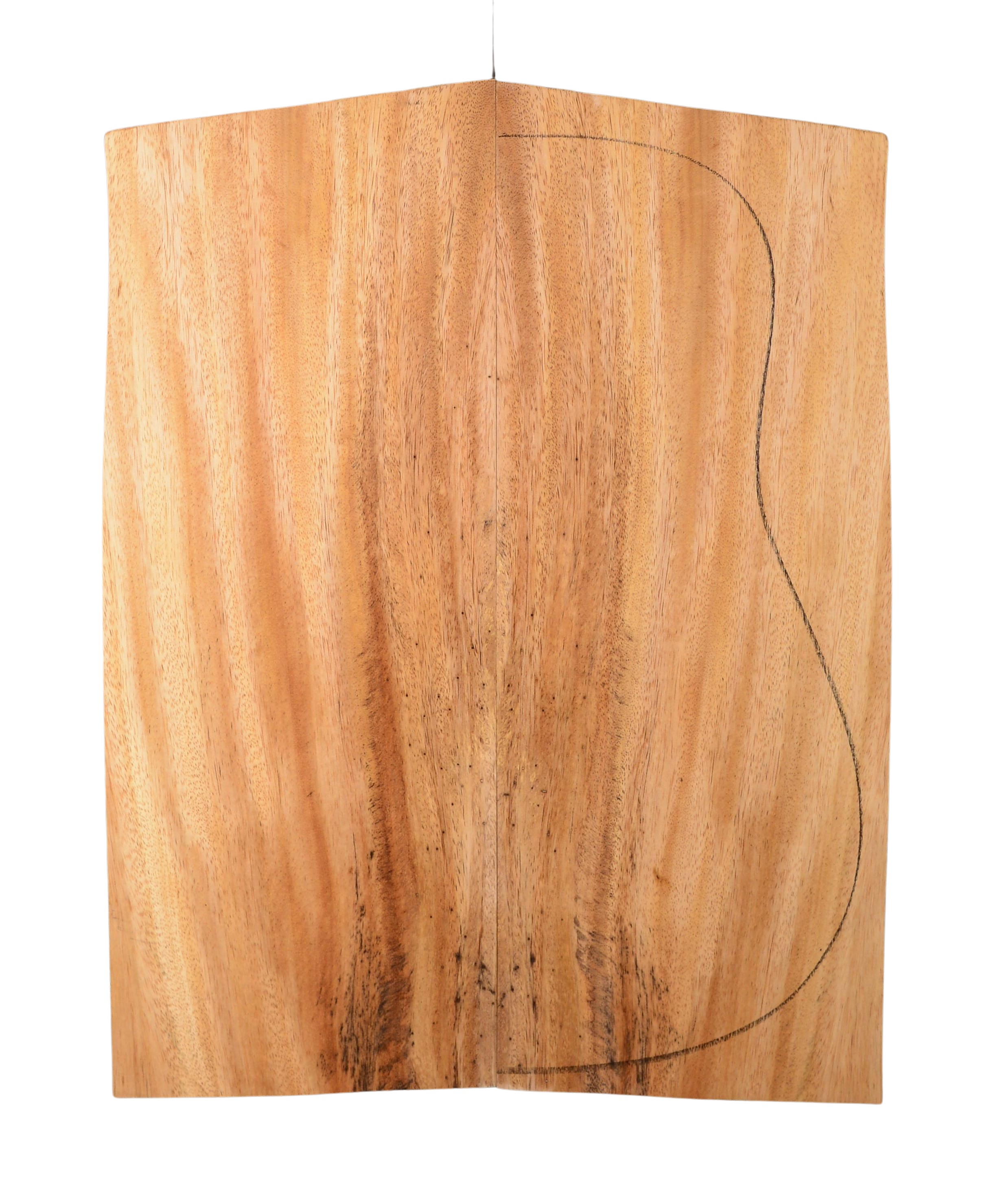 Primavera (Sinker) GuitarBack2pcATC 20185.G.018