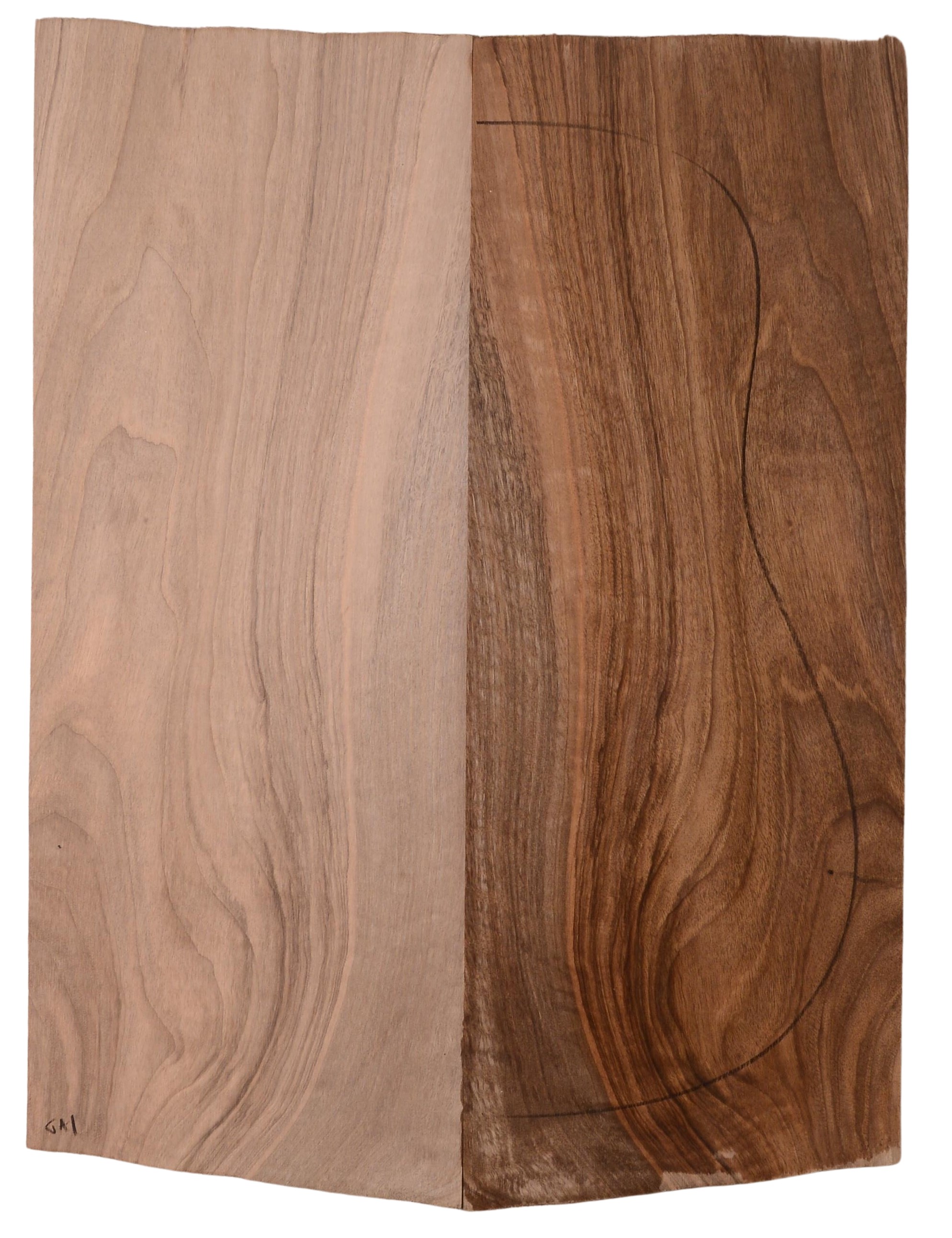 Walnut (English) GuitarBack2pcATC 22967.G.010