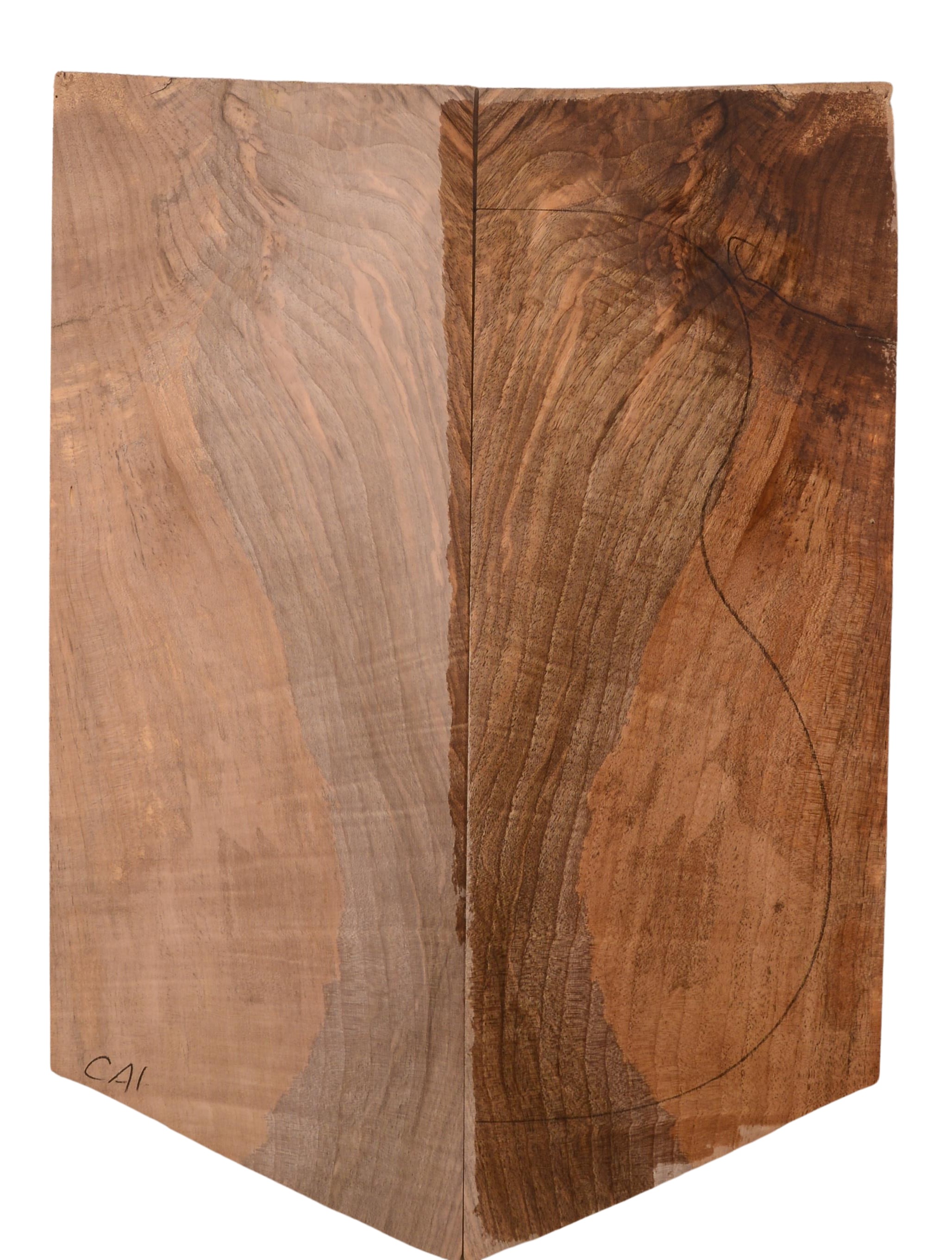 Walnut (English) GuitarBack2pcATC 22967.G.070