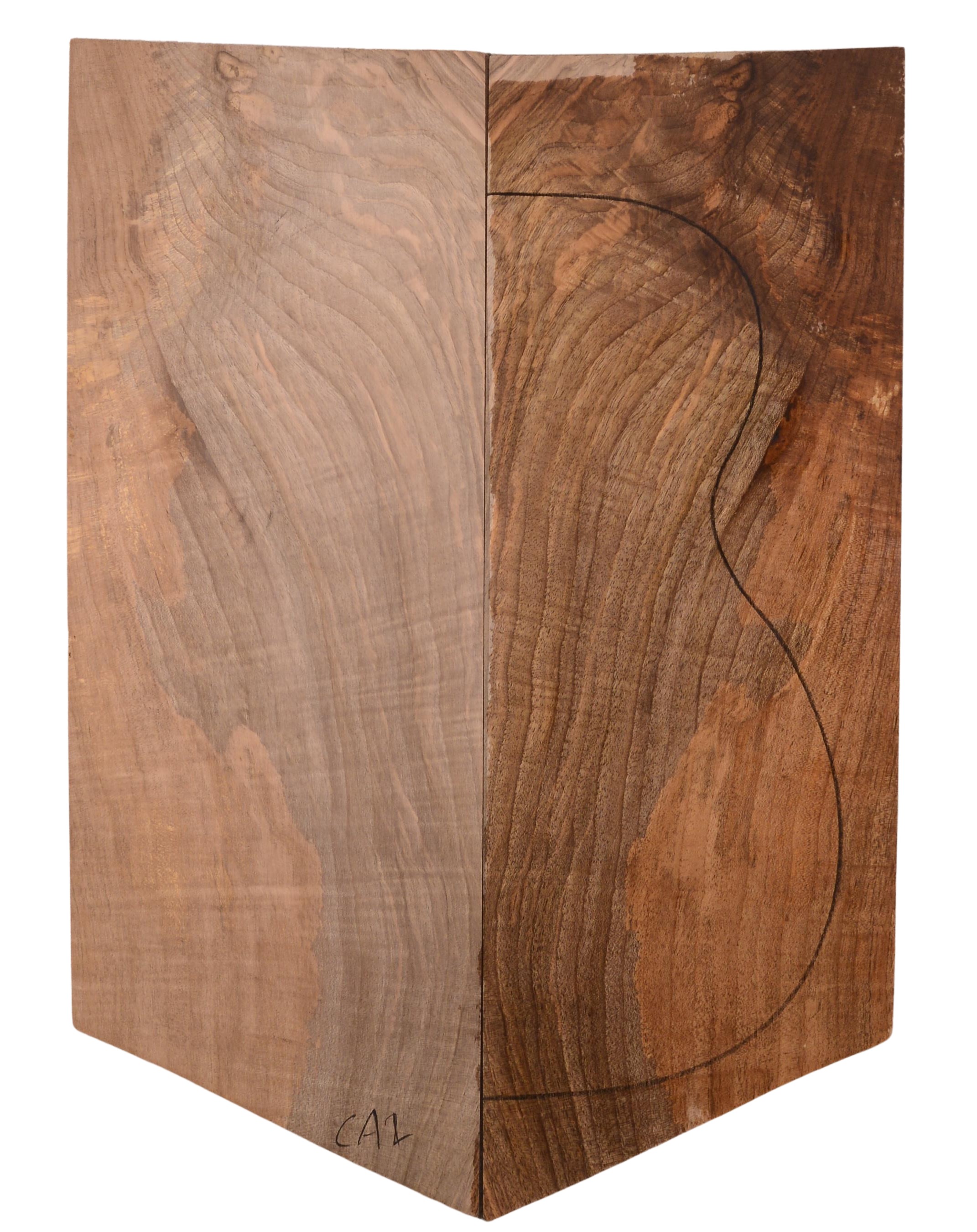 Walnut (English) GuitarBack2pcATC 22967.G.071