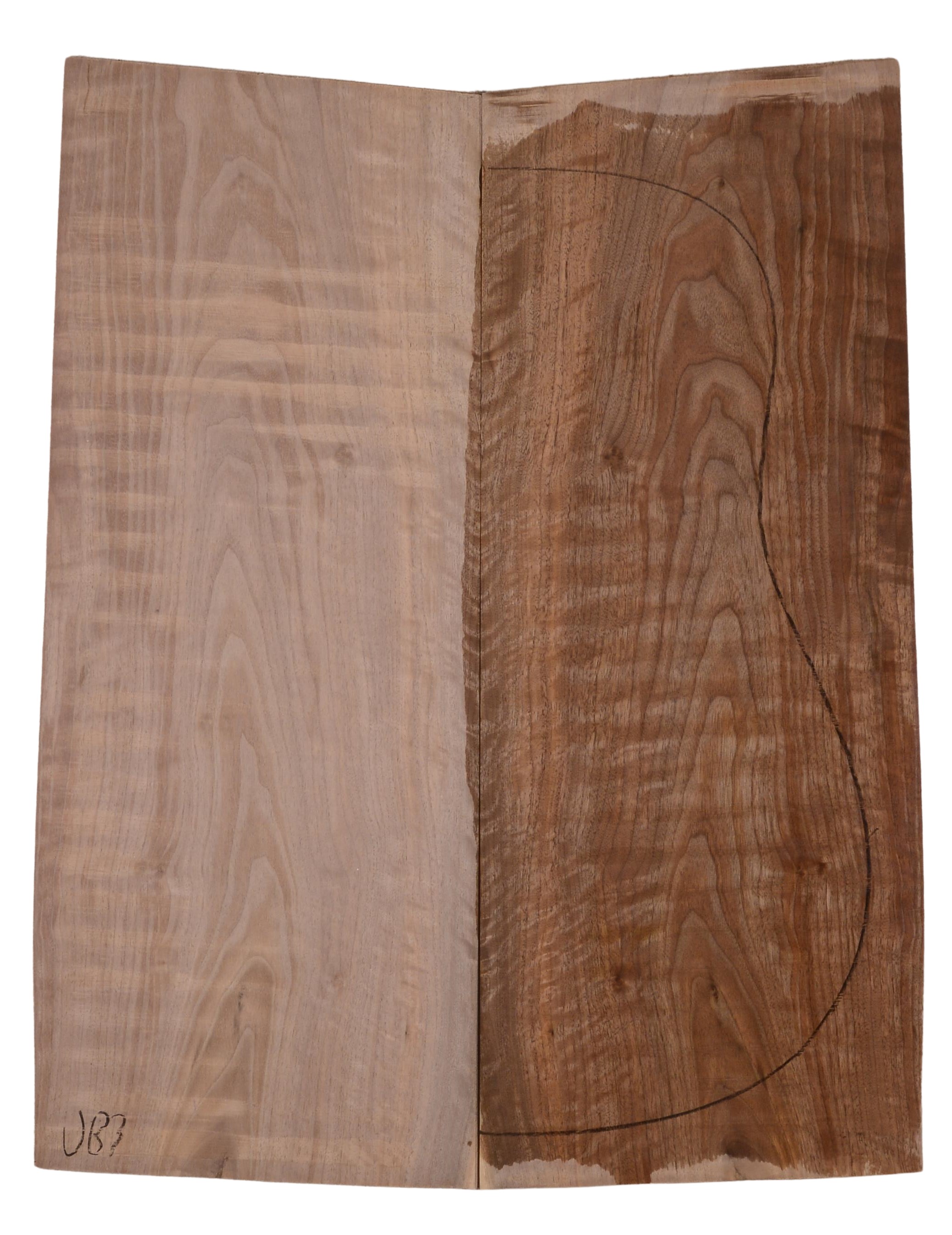 Walnut (English) GuitarBack2pcATC 22967.G.342