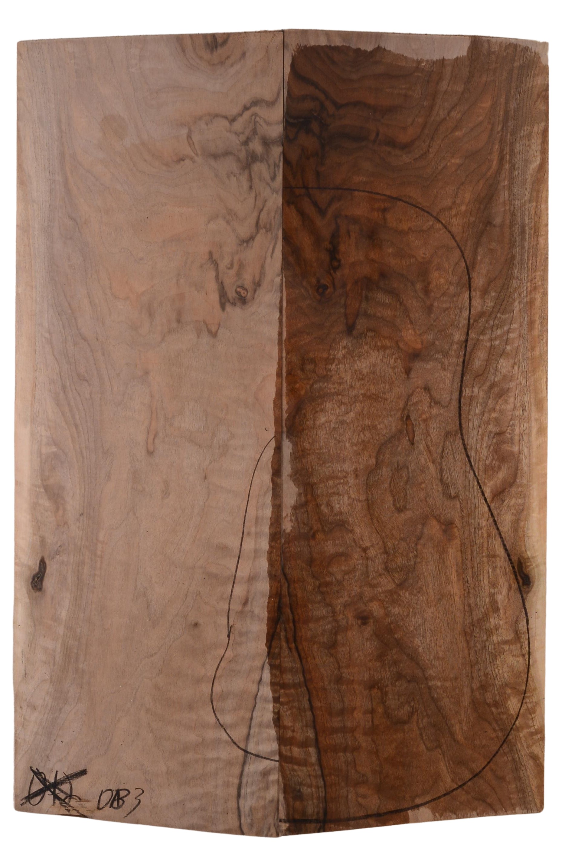 Walnut (English) GuitarBack2pcATC 22967.G.345