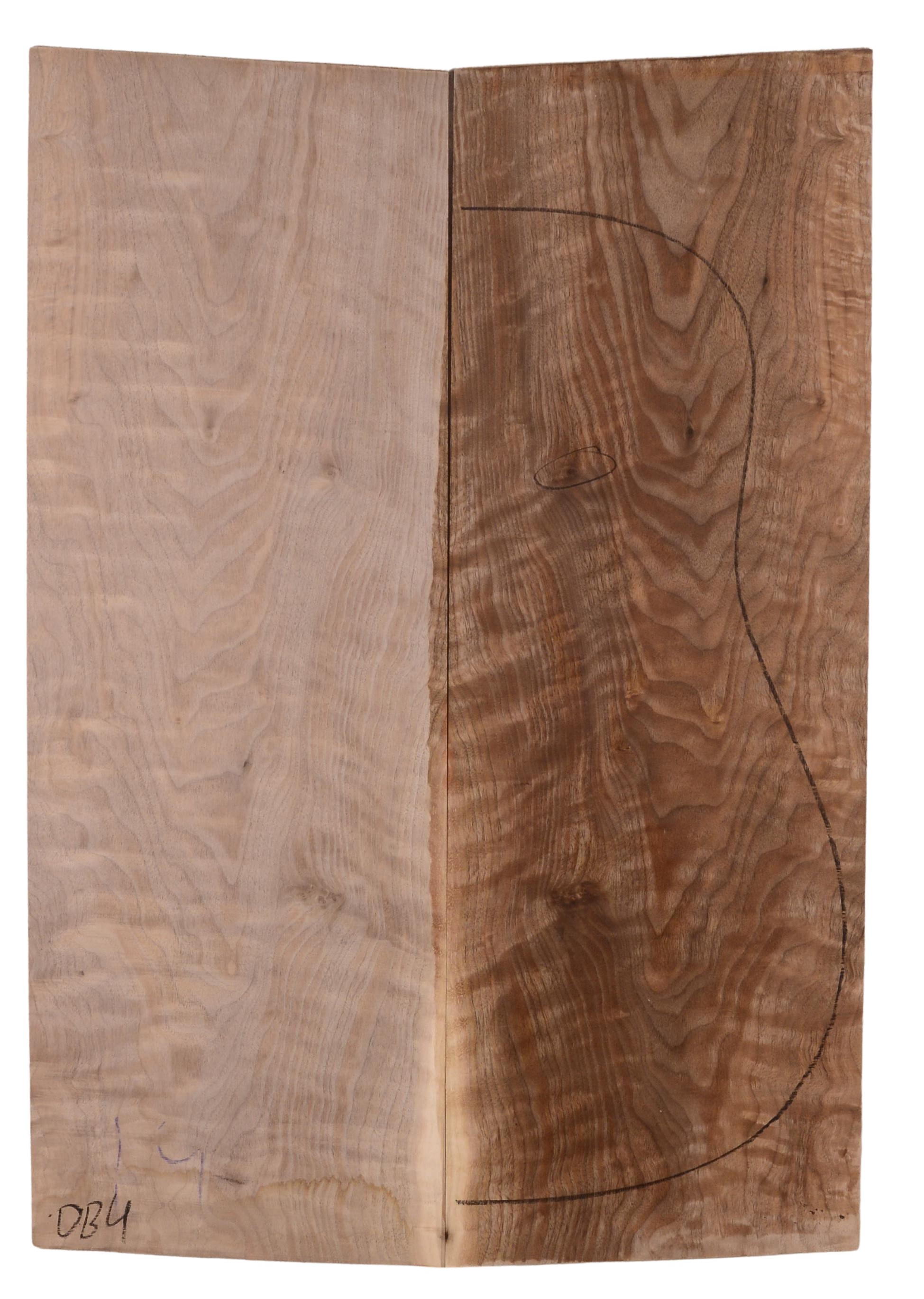 Walnut (English) GuitarBack2pcATC 22967.G.347