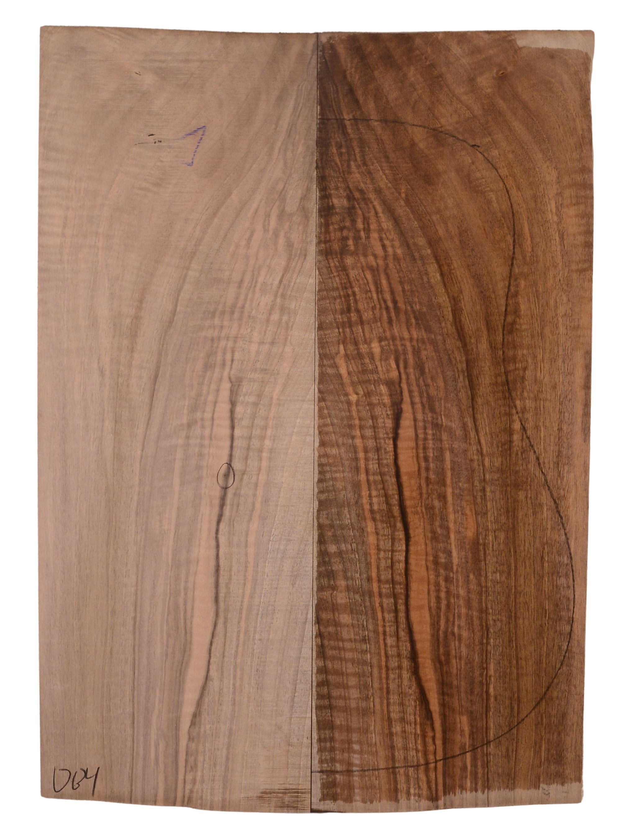 Walnut (English) GuitarBack2pcATC 22967.G.348