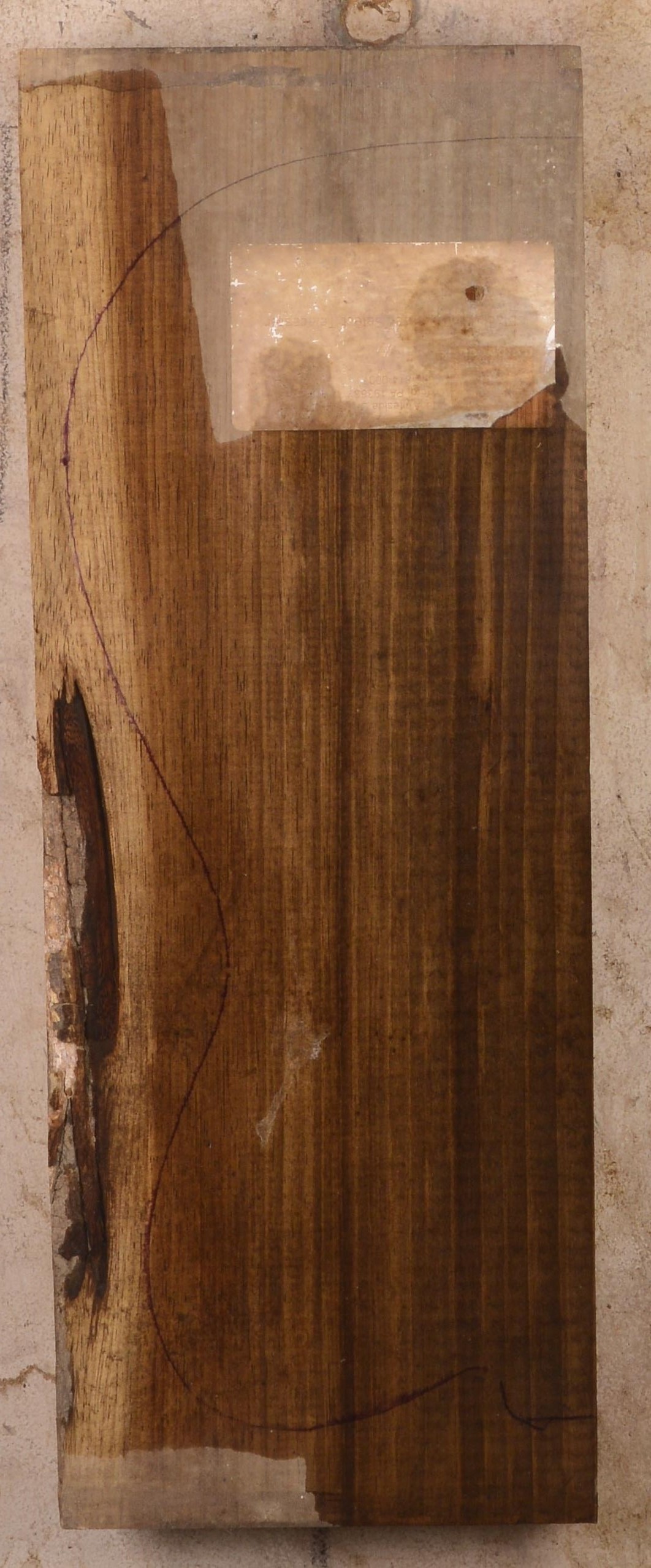 Blackwood (Tasmanian) GuitarBilletATC 22985.G.011