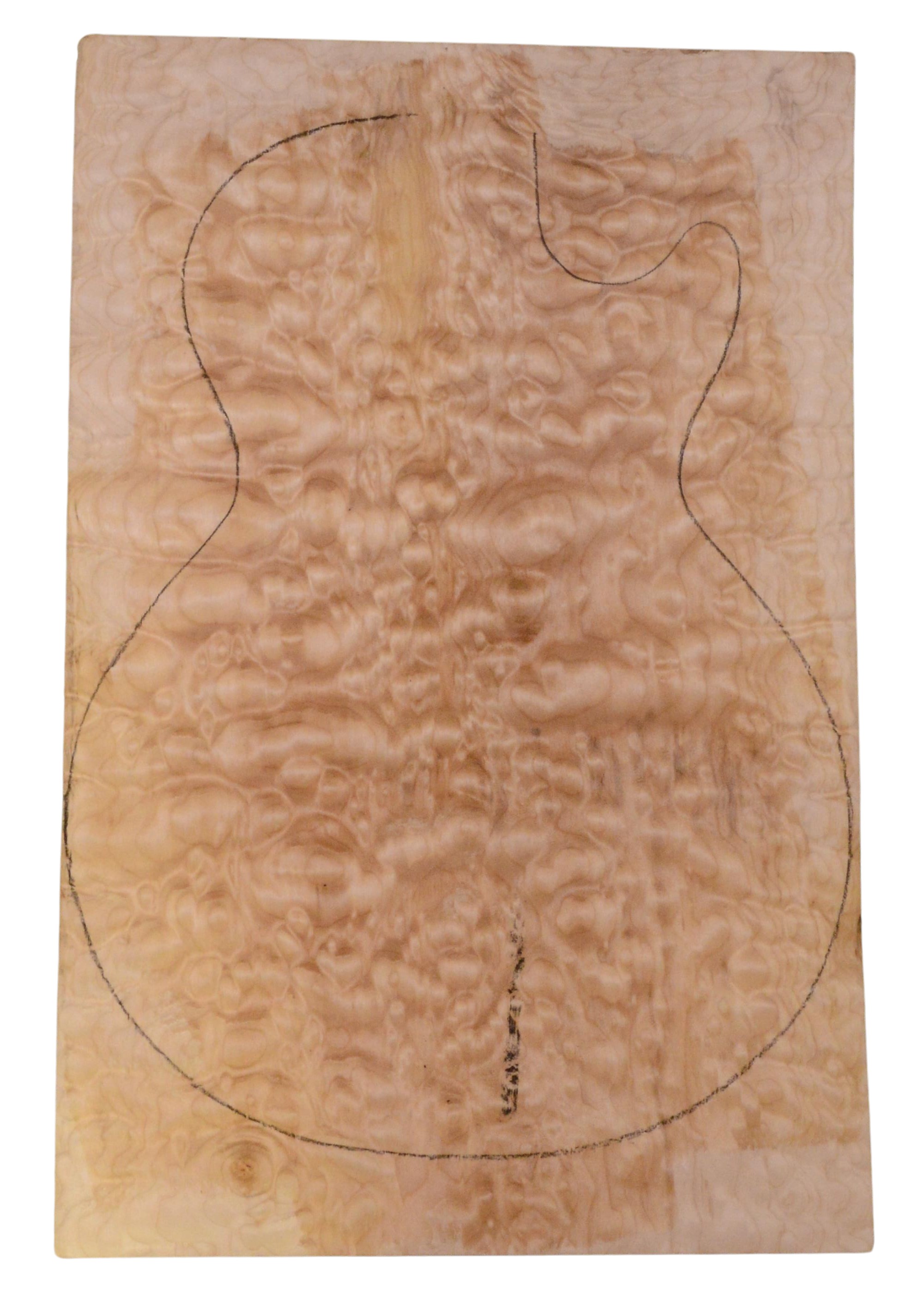 Maple (Big Leaf) GuitarSolidBodyTopATC 23965.G.009