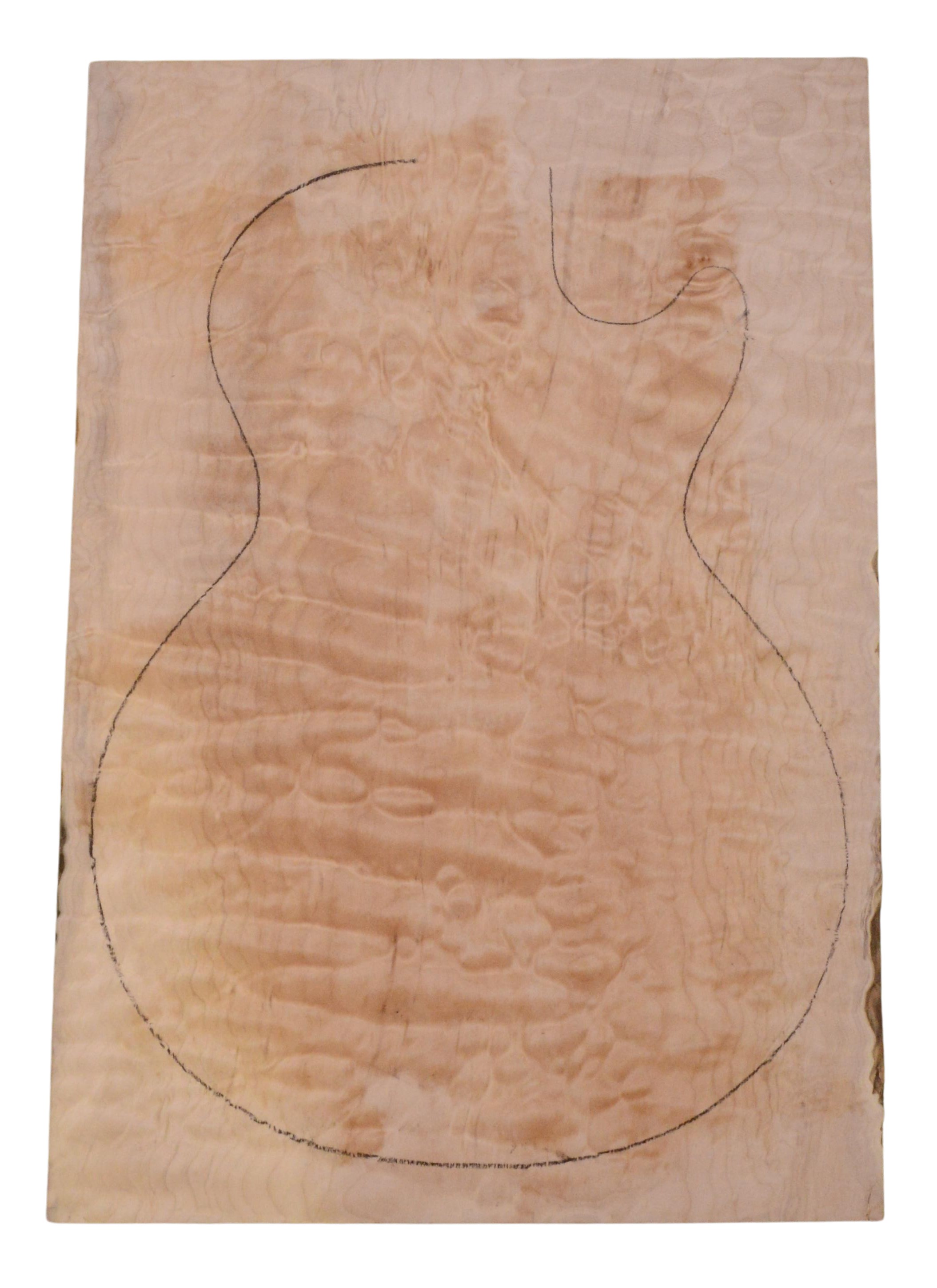Maple (Big Leaf) GuitarSolidBodyTopATC 23965.G.010