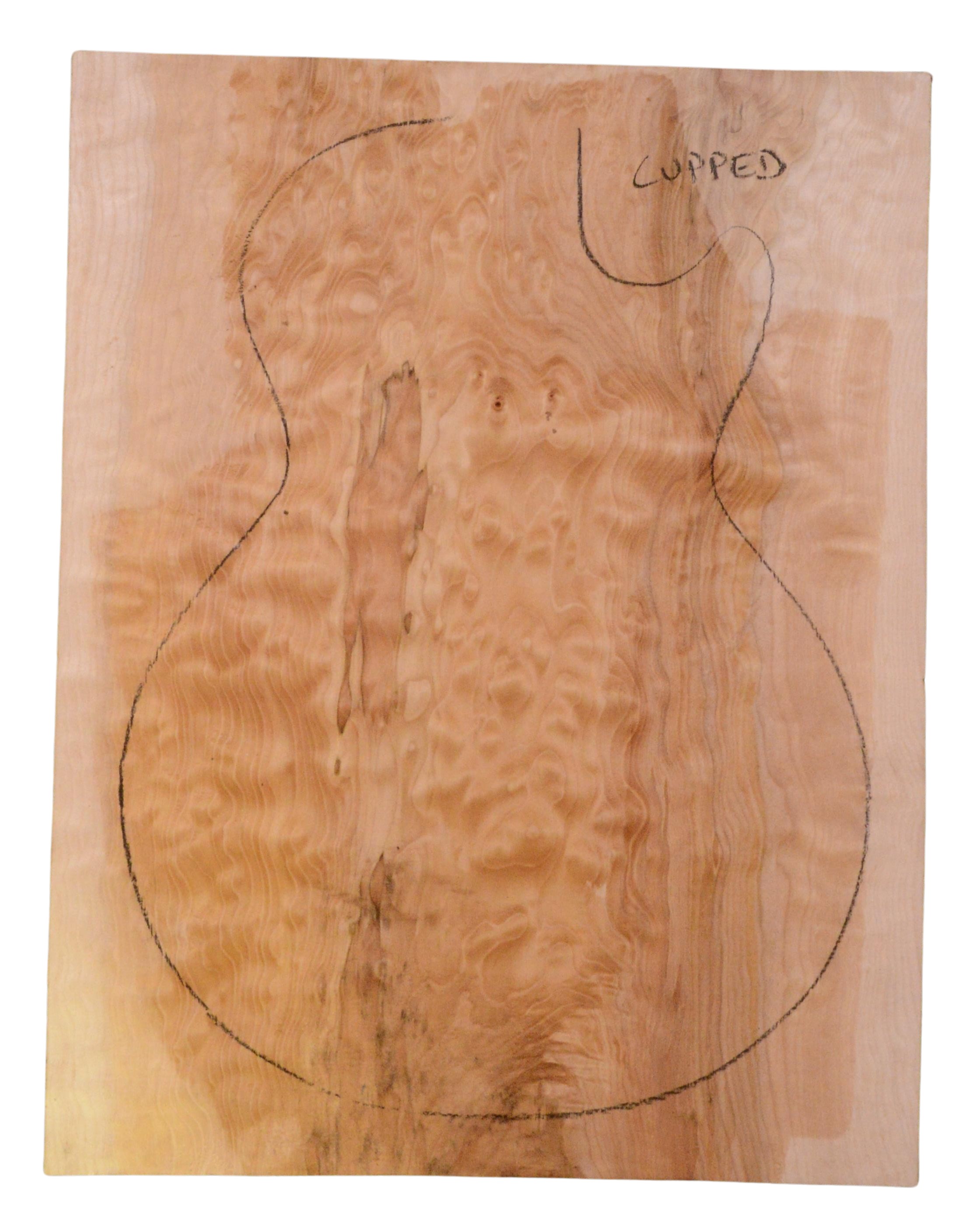 Maple (Big Leaf) GuitarSolidBodyTopATC 23965.G.012