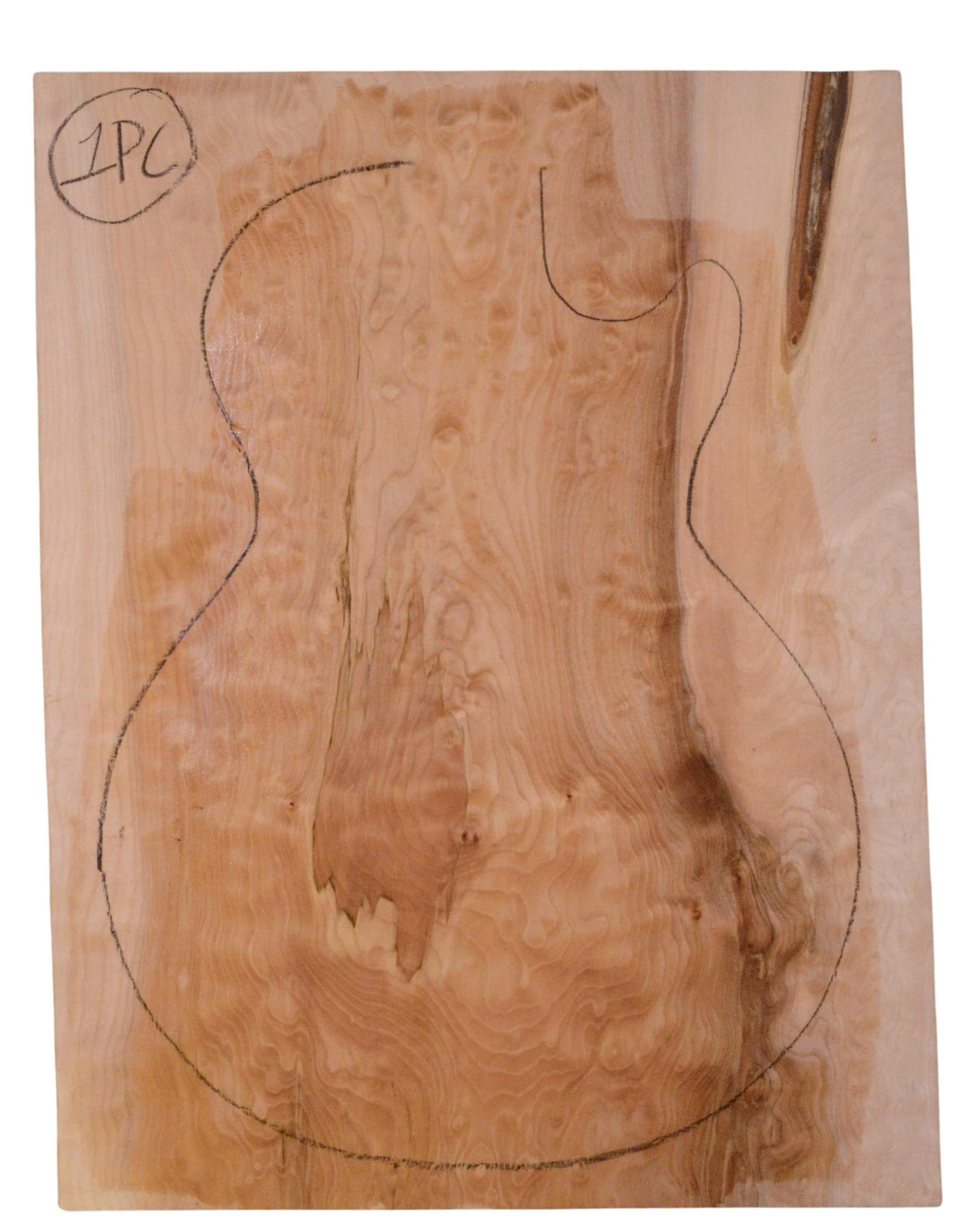 Maple (Big Leaf) GuitarSolidBodyTopATC 23965.G.013