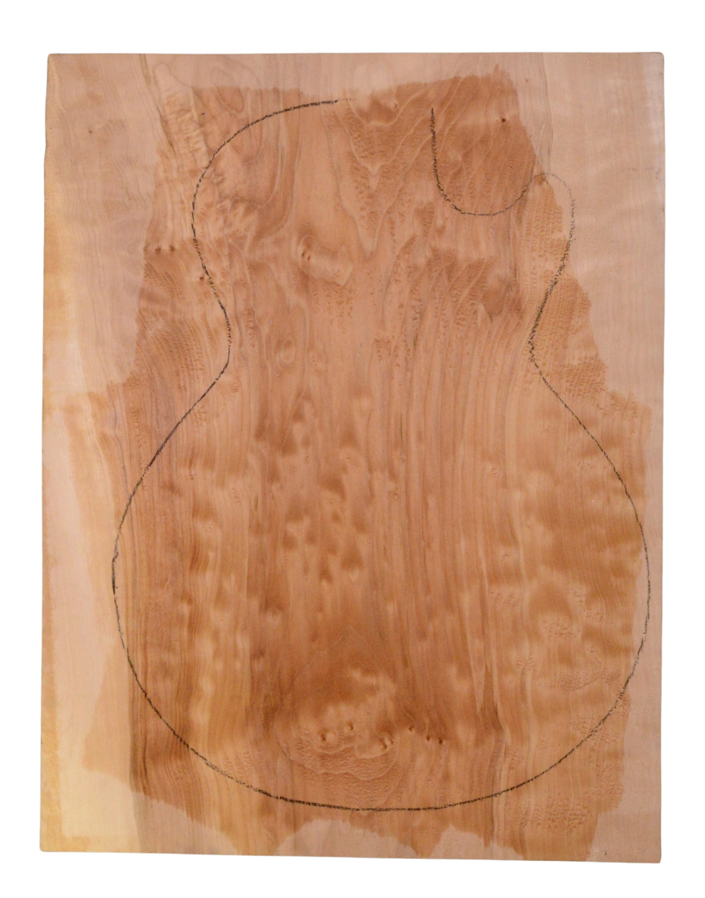 Maple (Big Leaf) GuitarSolidBodyTopATC 23965.G.014