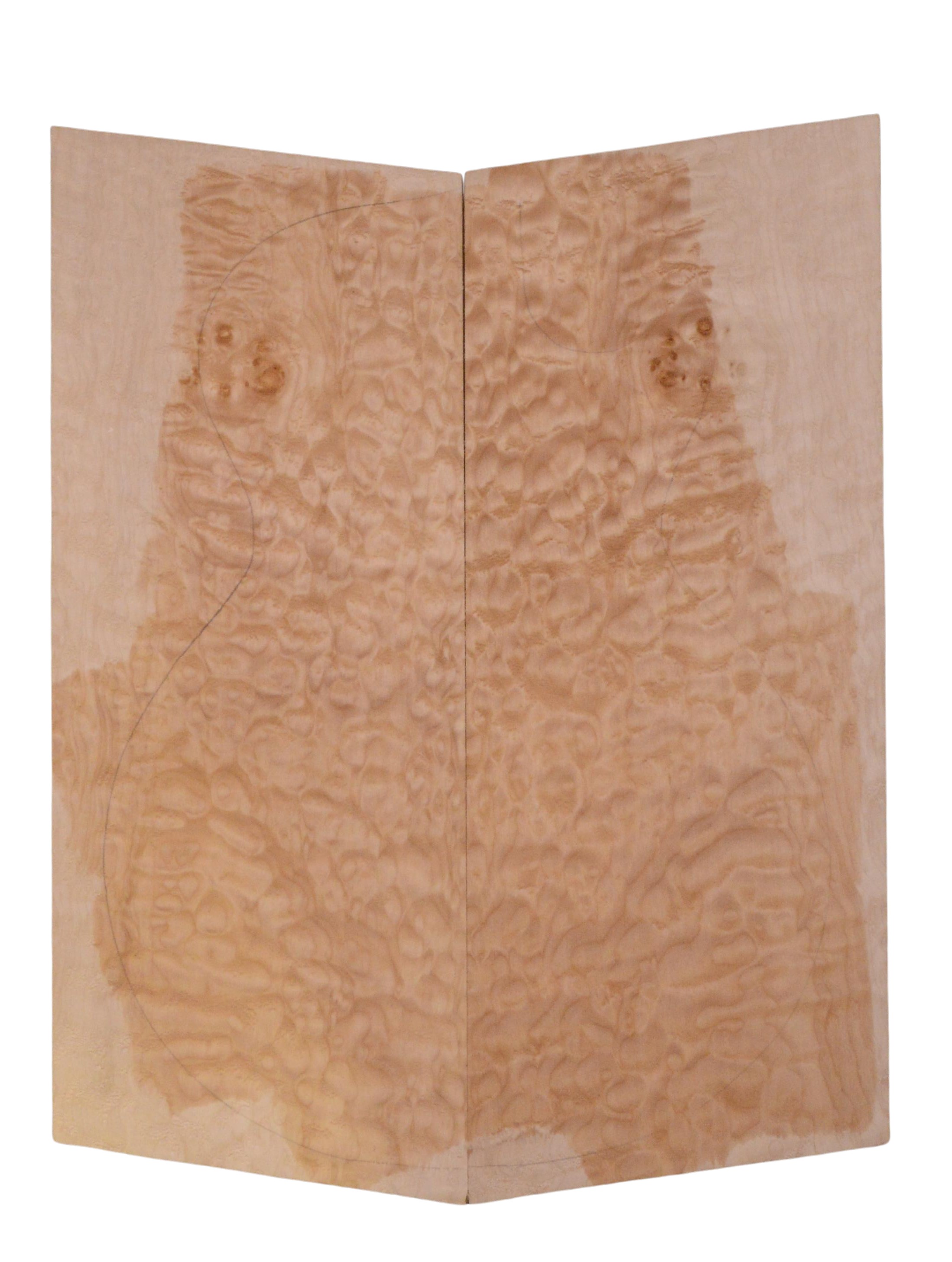 Maple (Big Leaf) GuitarSolidBodyTopATC 23965.G.016