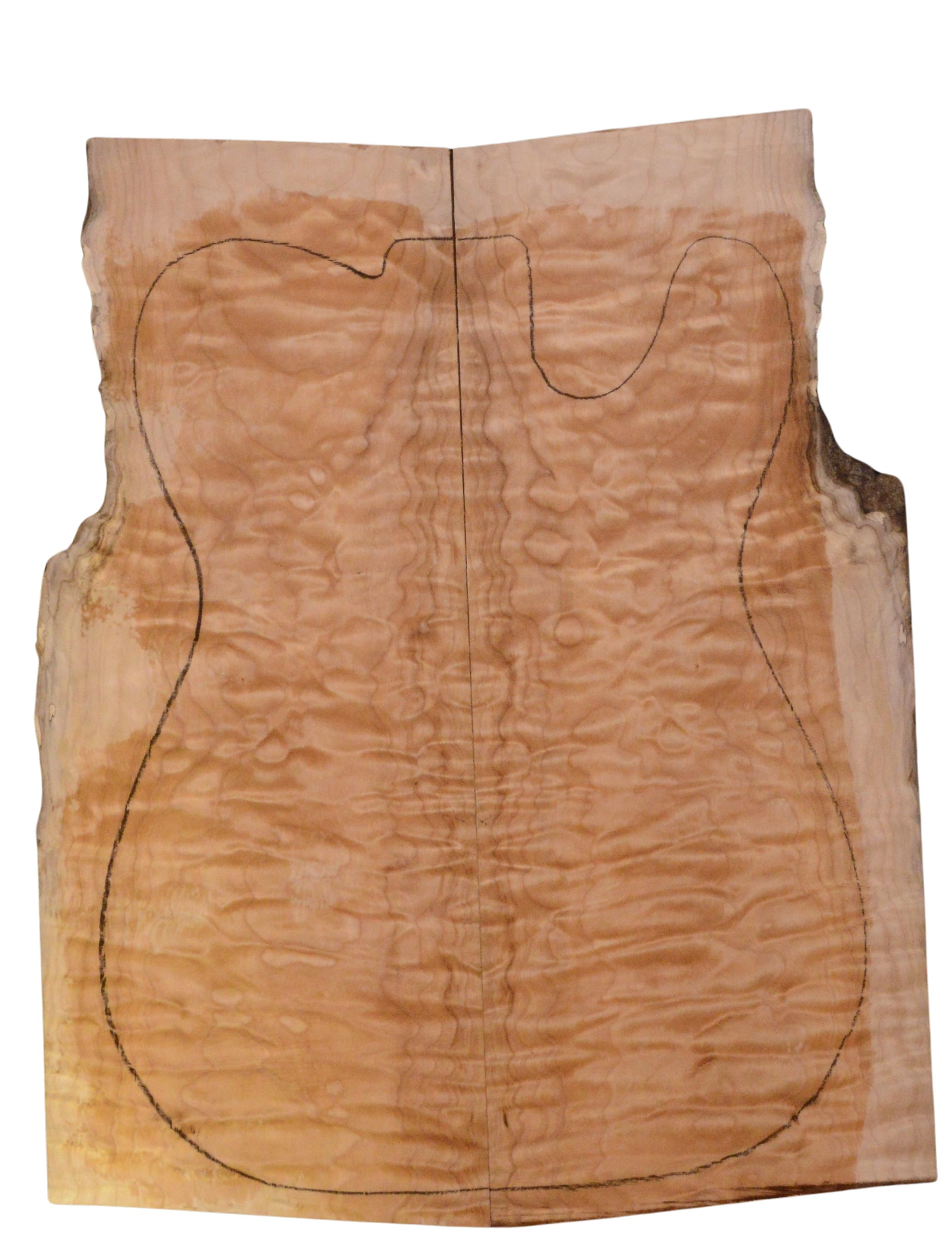 Maple (Big Leaf) GuitarSolidBodyTopATC 23965.G.041